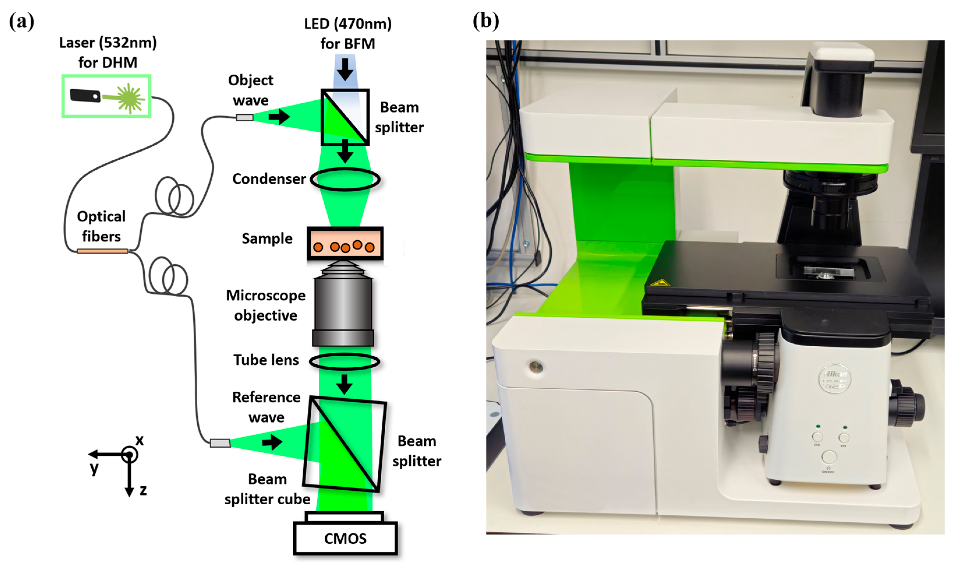 Sensors 25 02675 g001