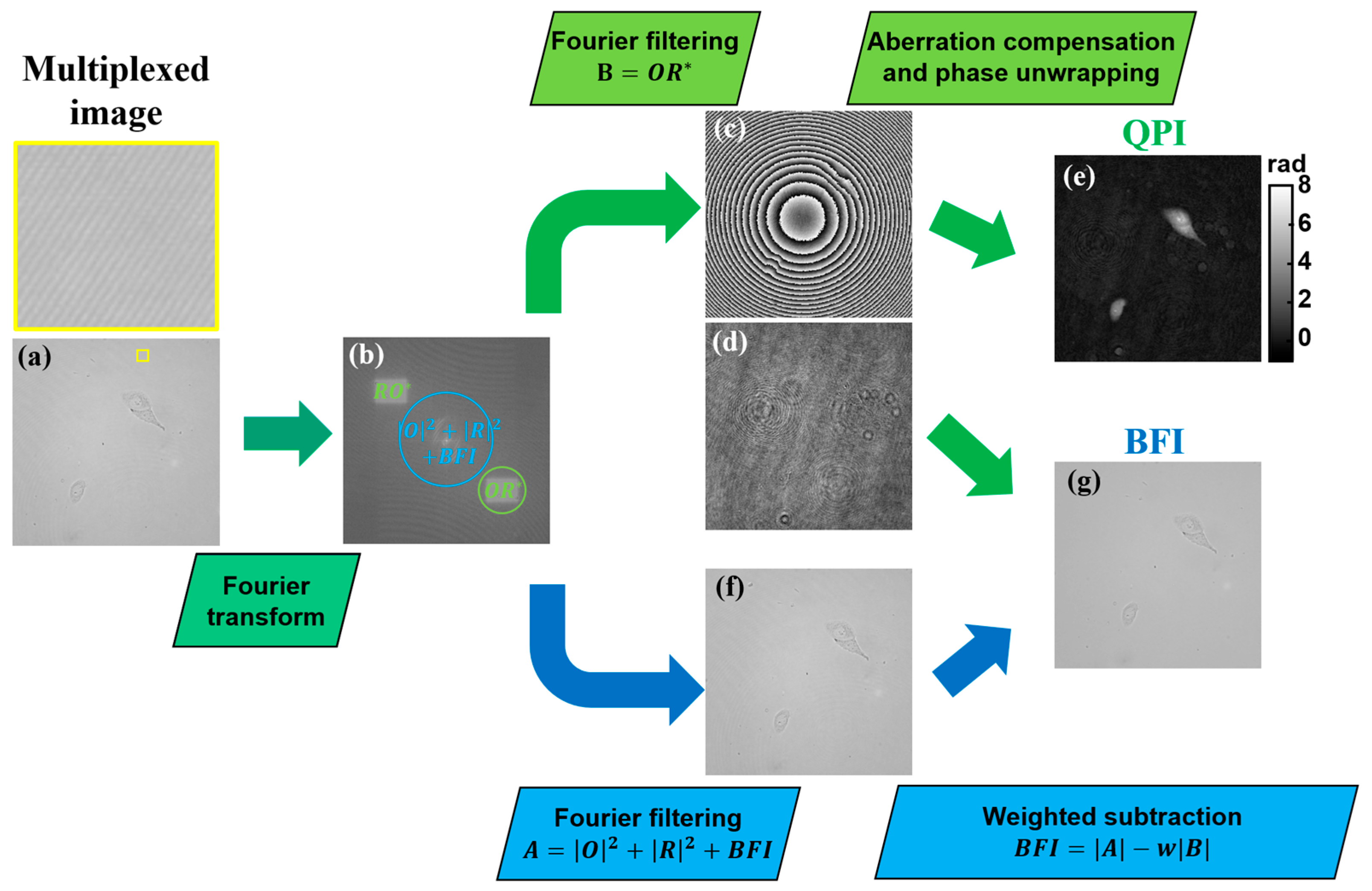 Sensors 25 02675 g002