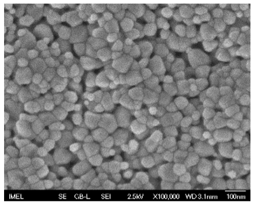 Sensors 25 02705 i001