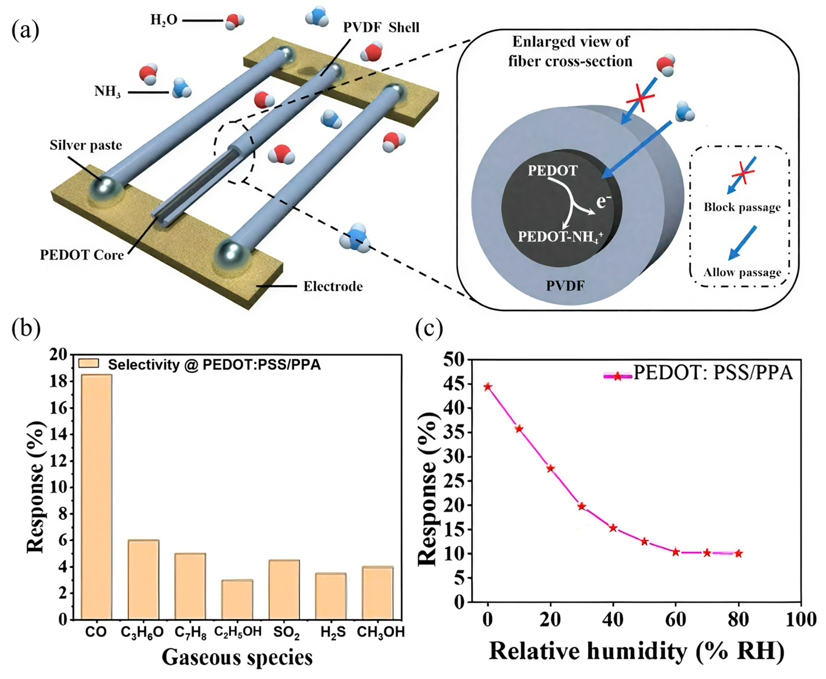 Sensors 25 02724 g006
