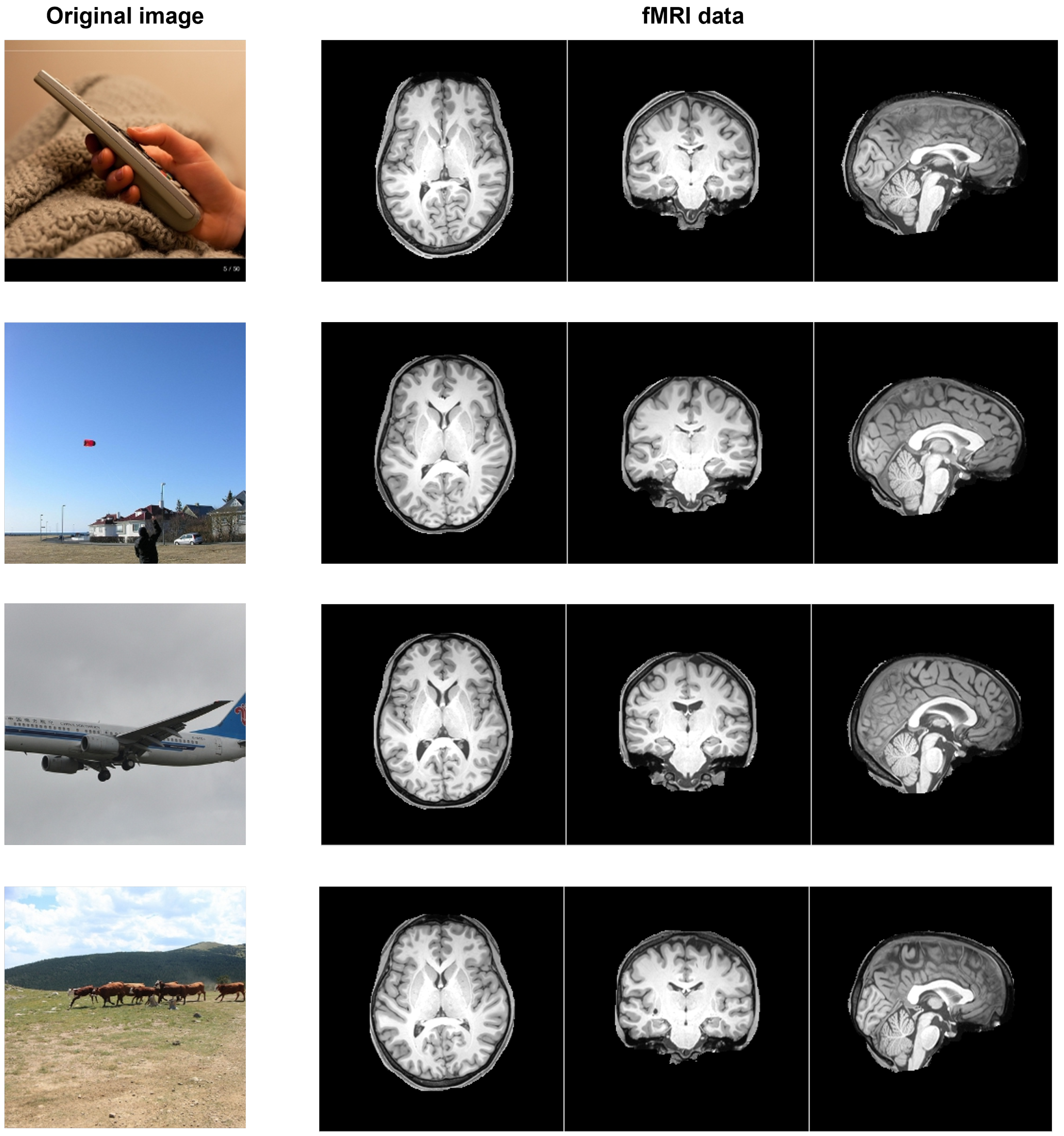 Sensors 25 02736 g003