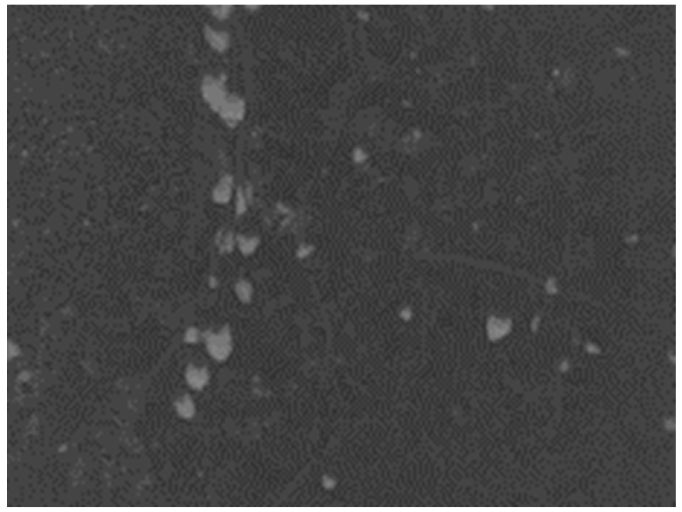 Sensors 25 03365 g013