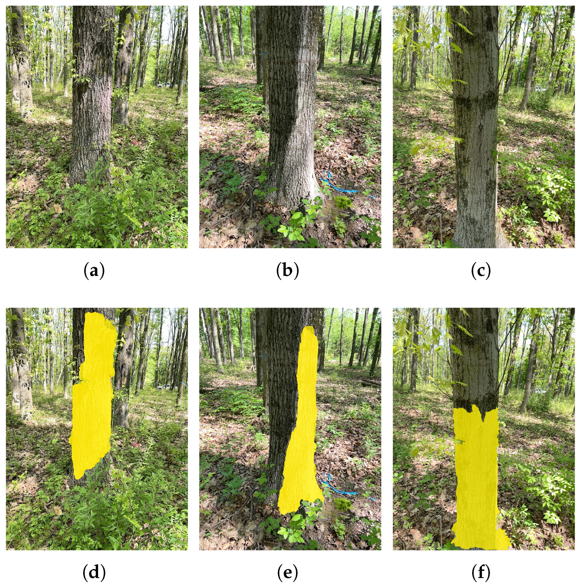 Sensors 25 05060 g011 Sensors 25 05060 g011