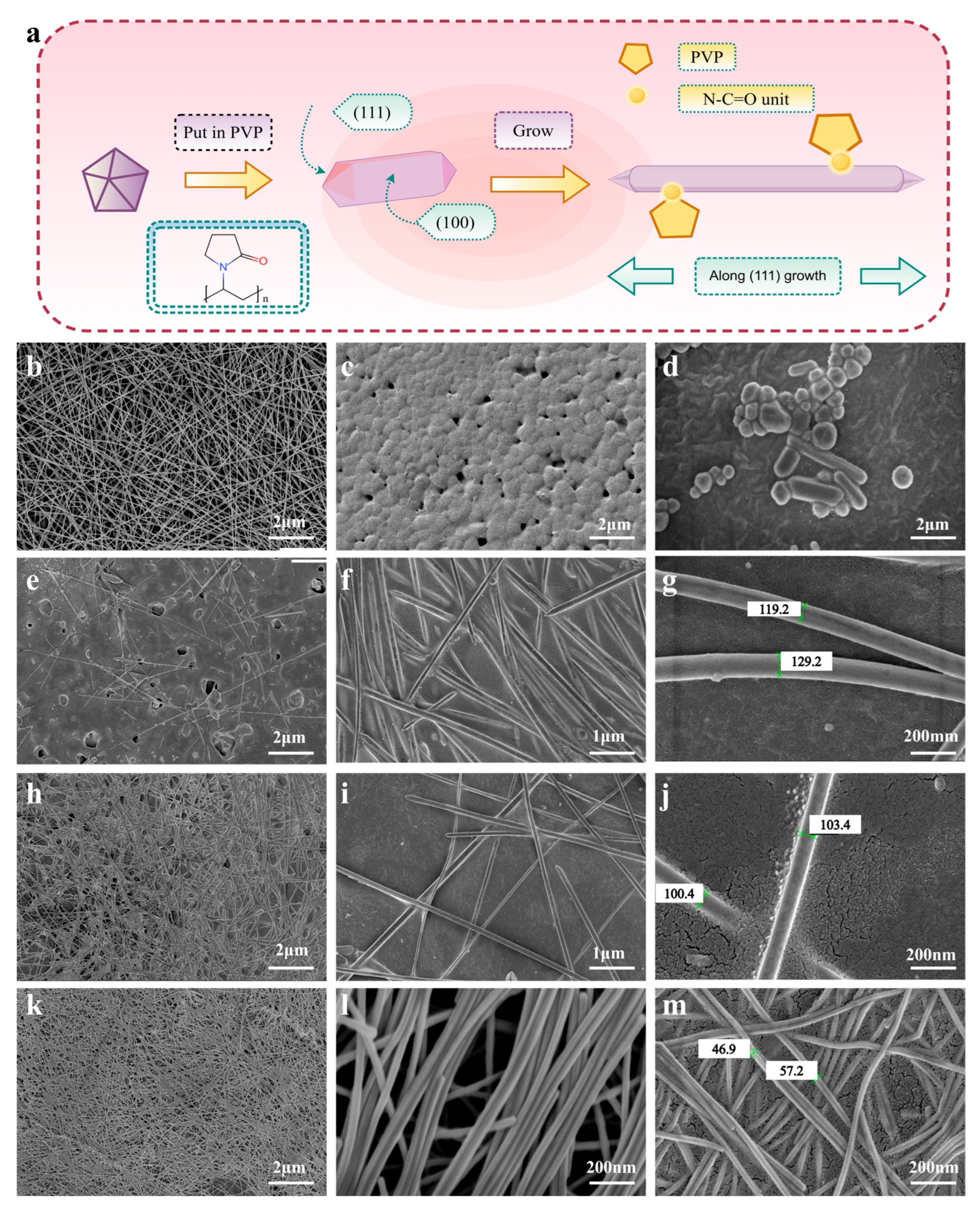 Sensors 25 05191 g002 Sensors 25 05191 g002