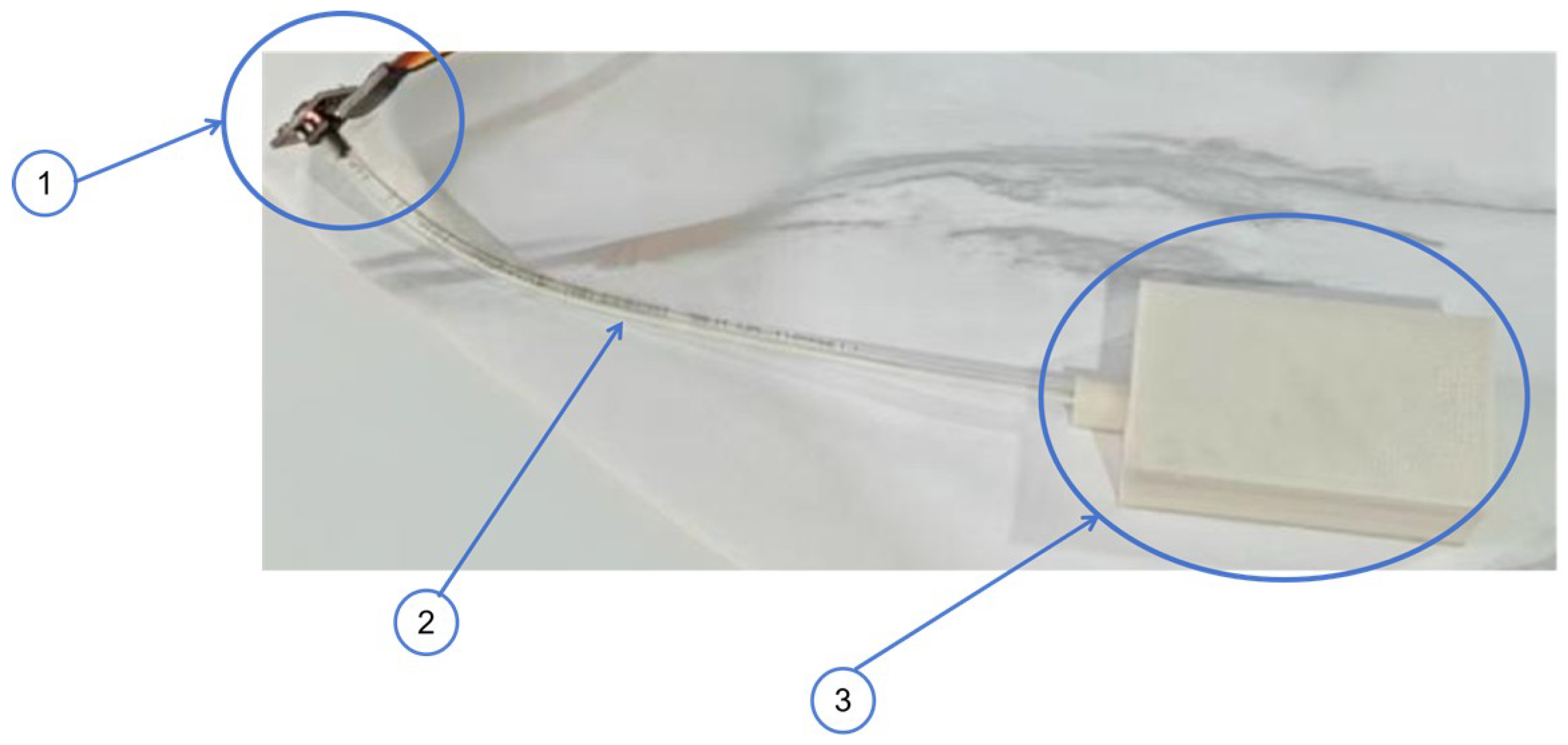 Sensors 25 05823 g001 Sensors 25 05823 g001
