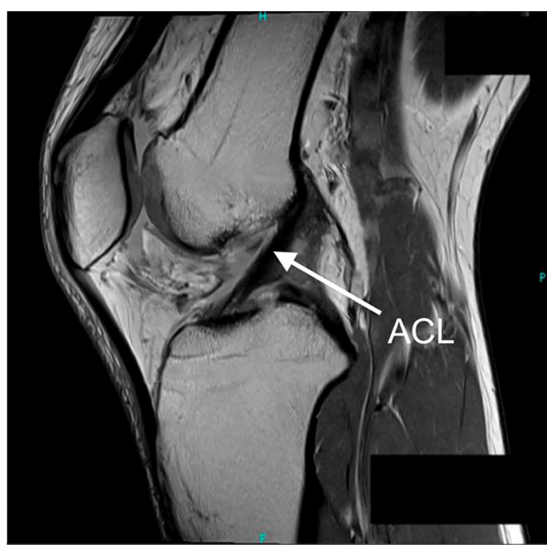 Sensors 25 05837 g001 Sensors 25 05837 g001