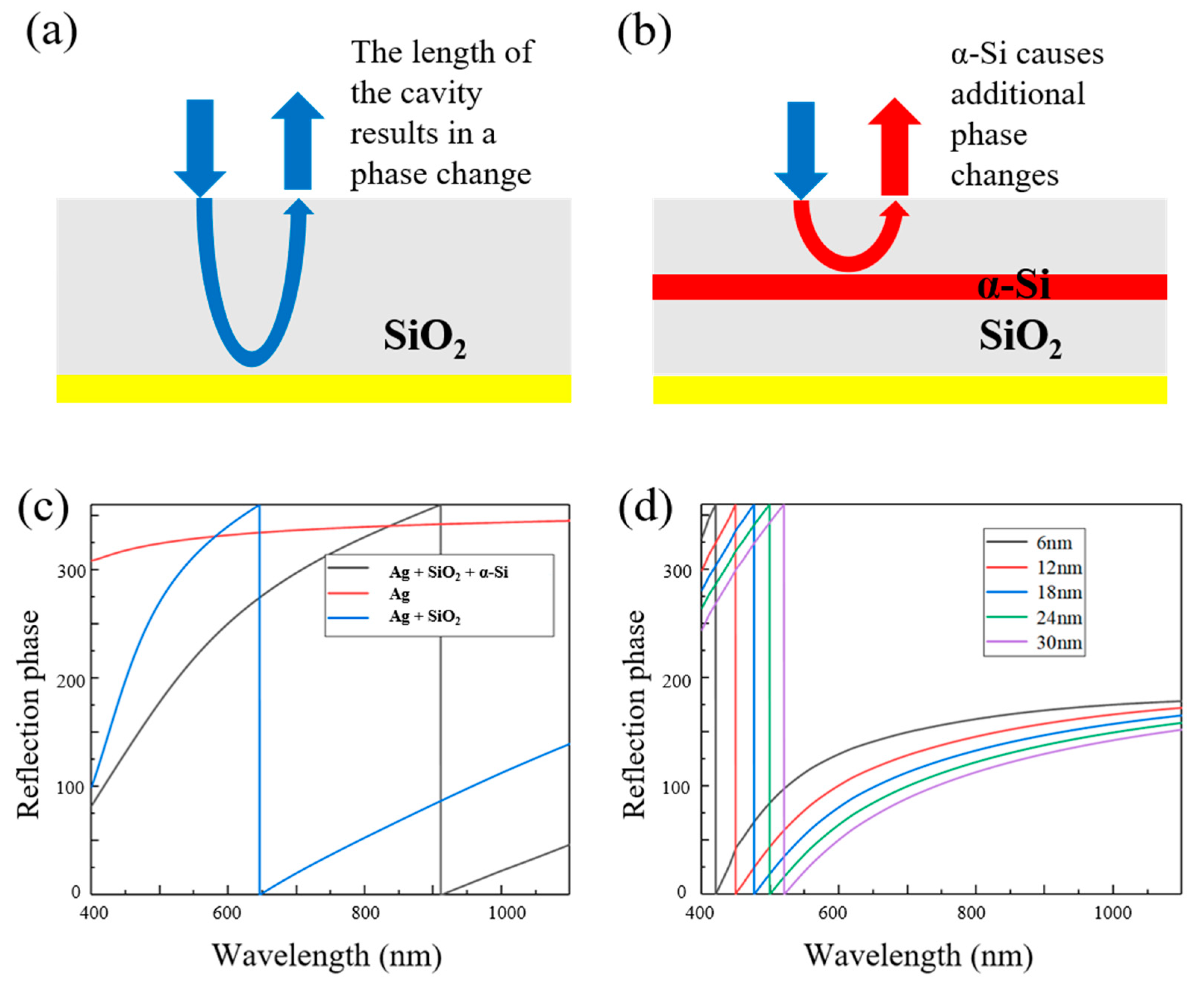 Sensors 25 06123 g004 Sensors 25 06123 g004