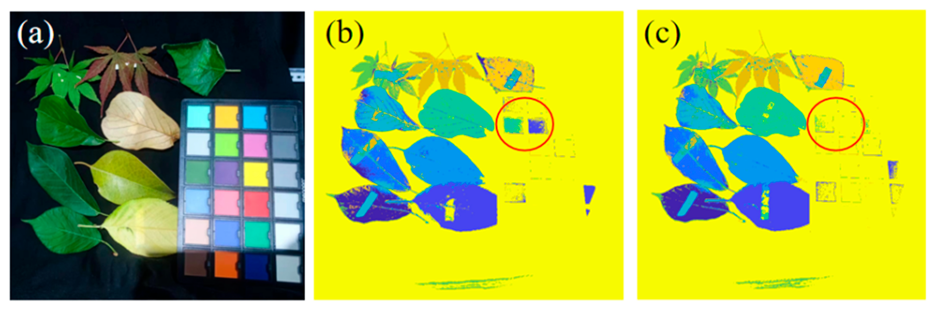 Sensors 25 06123 g010 Sensors 25 06123 g010