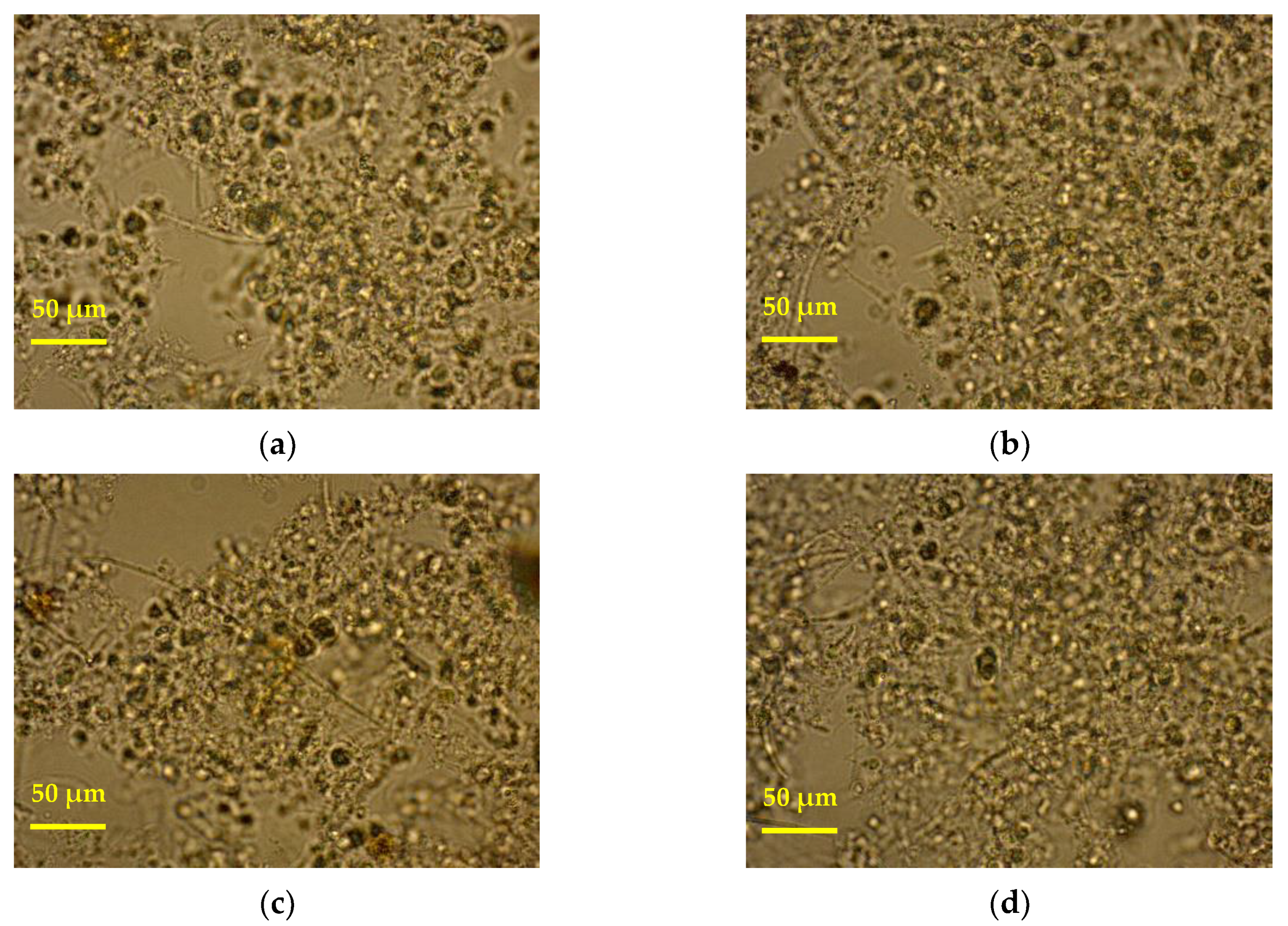 Separations 07 00024 g007a
