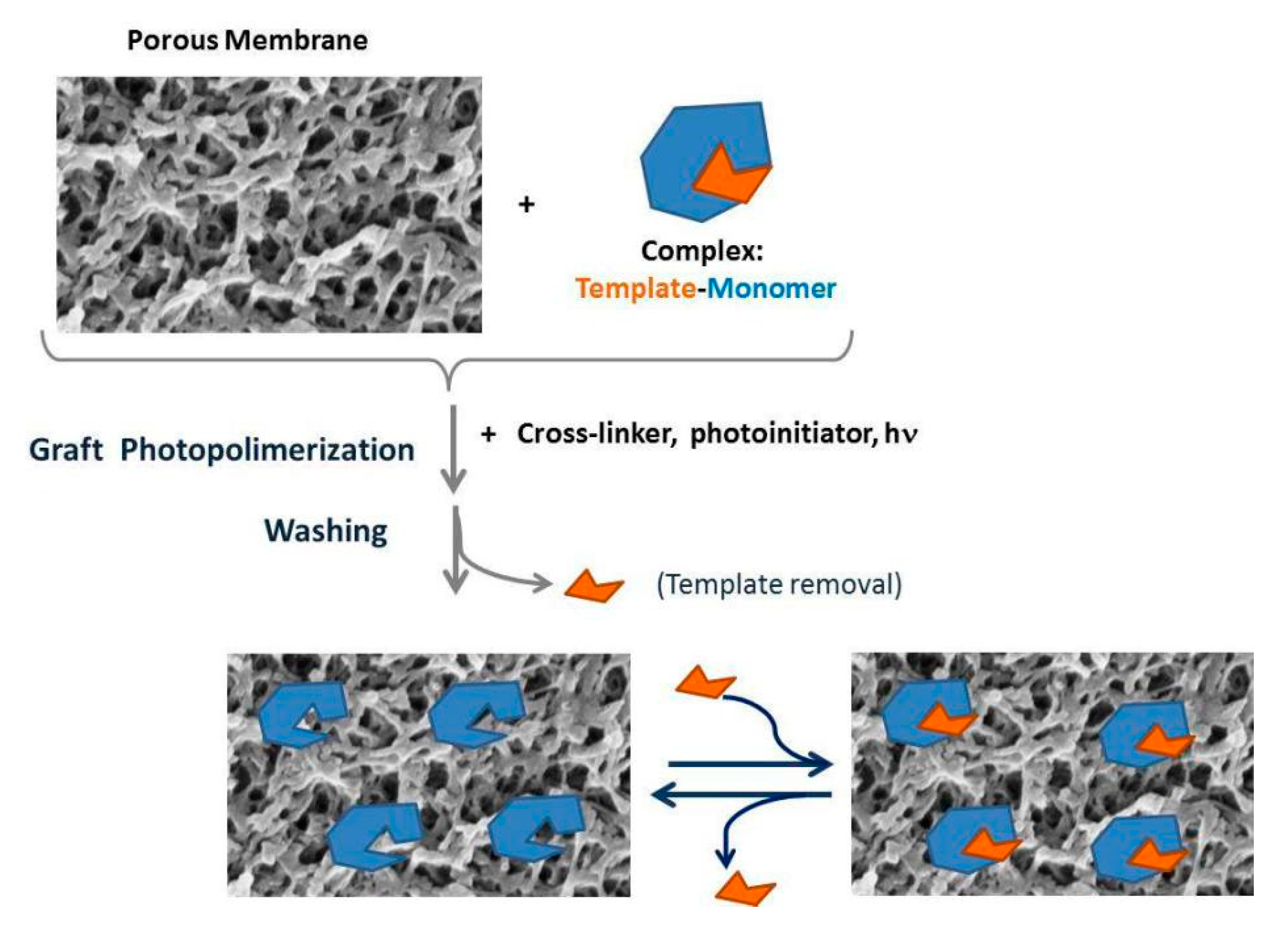 Separations 07 00069 g004 Separations 07 00069 g004