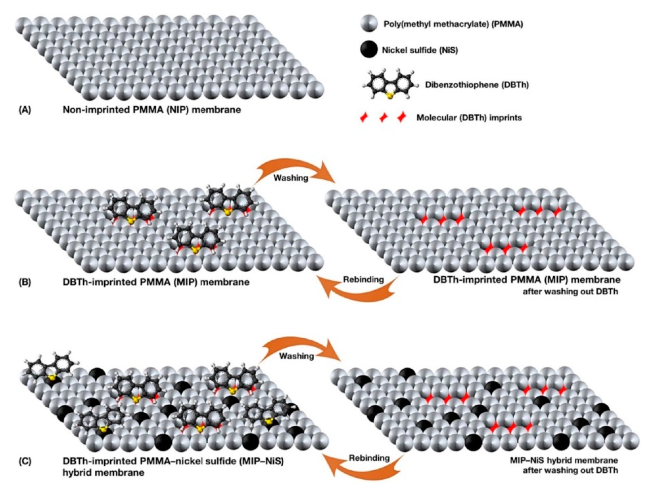 Separations | Free Full-Text | Recent Advances In Molecularly Imprinted ...