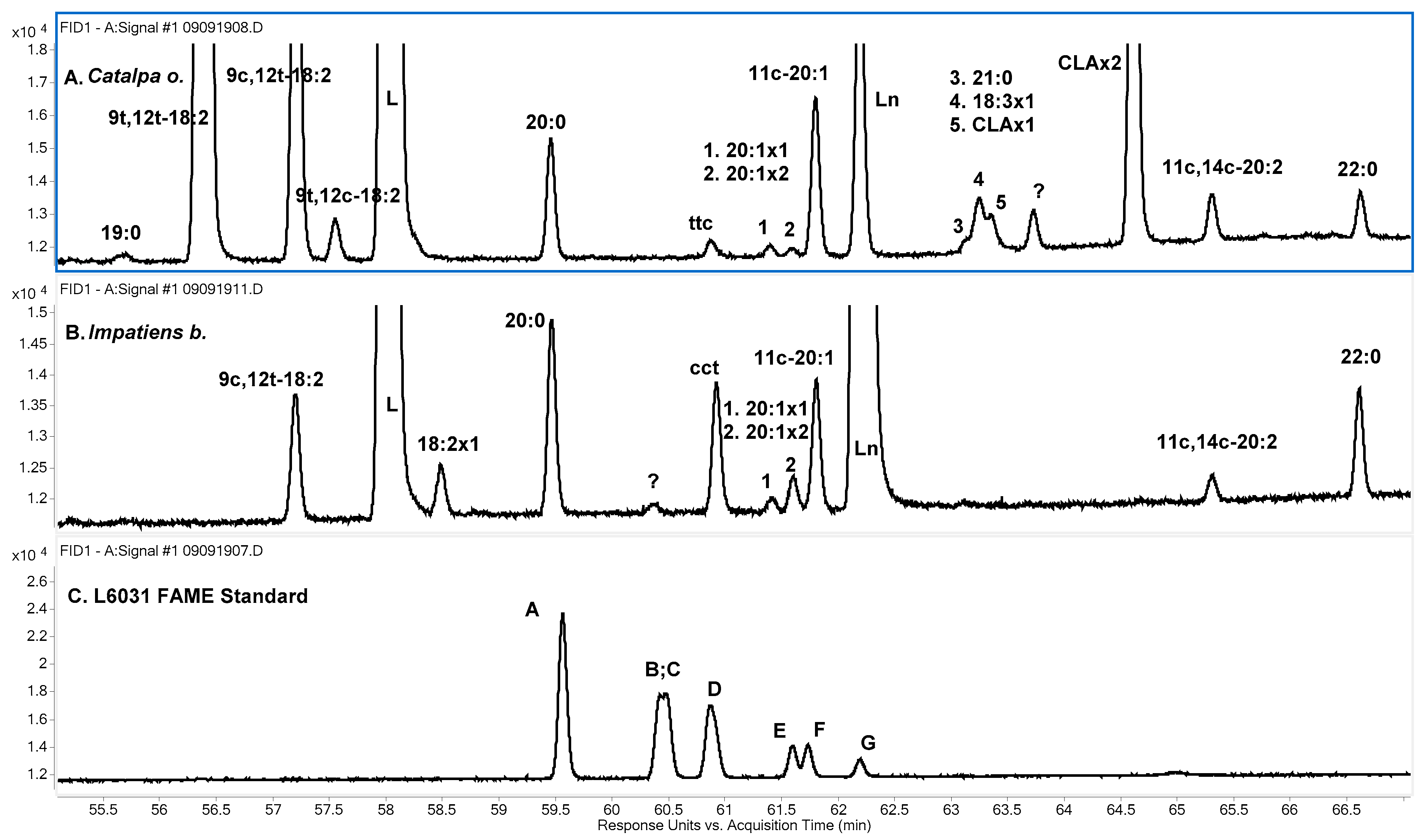 Separations Free Full Text Gc Analysis Of Seven Seed Oils Containing Conjugated Fatty Acids Html