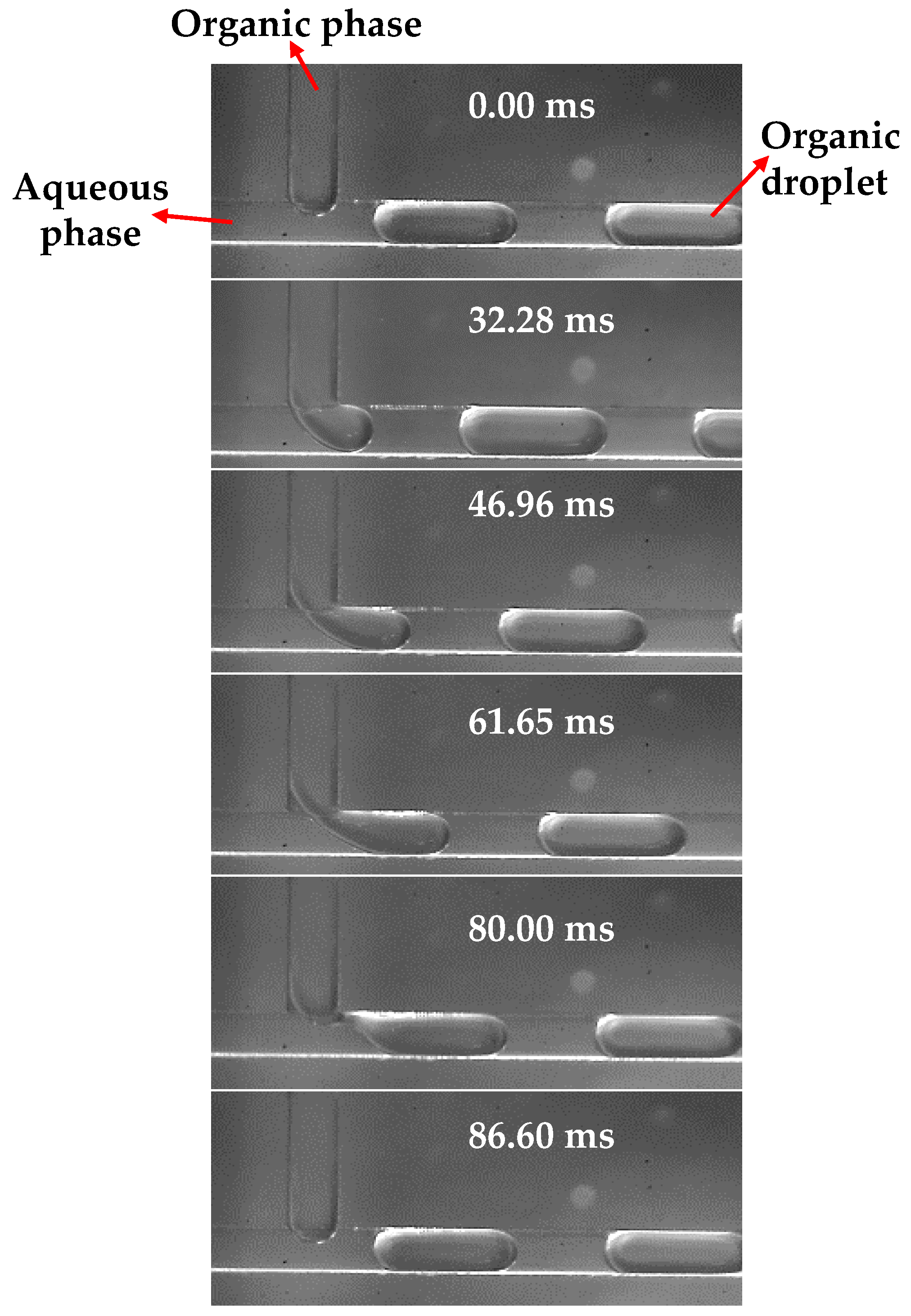 Separations 08 00070 g004 Separations 08 00070 g004