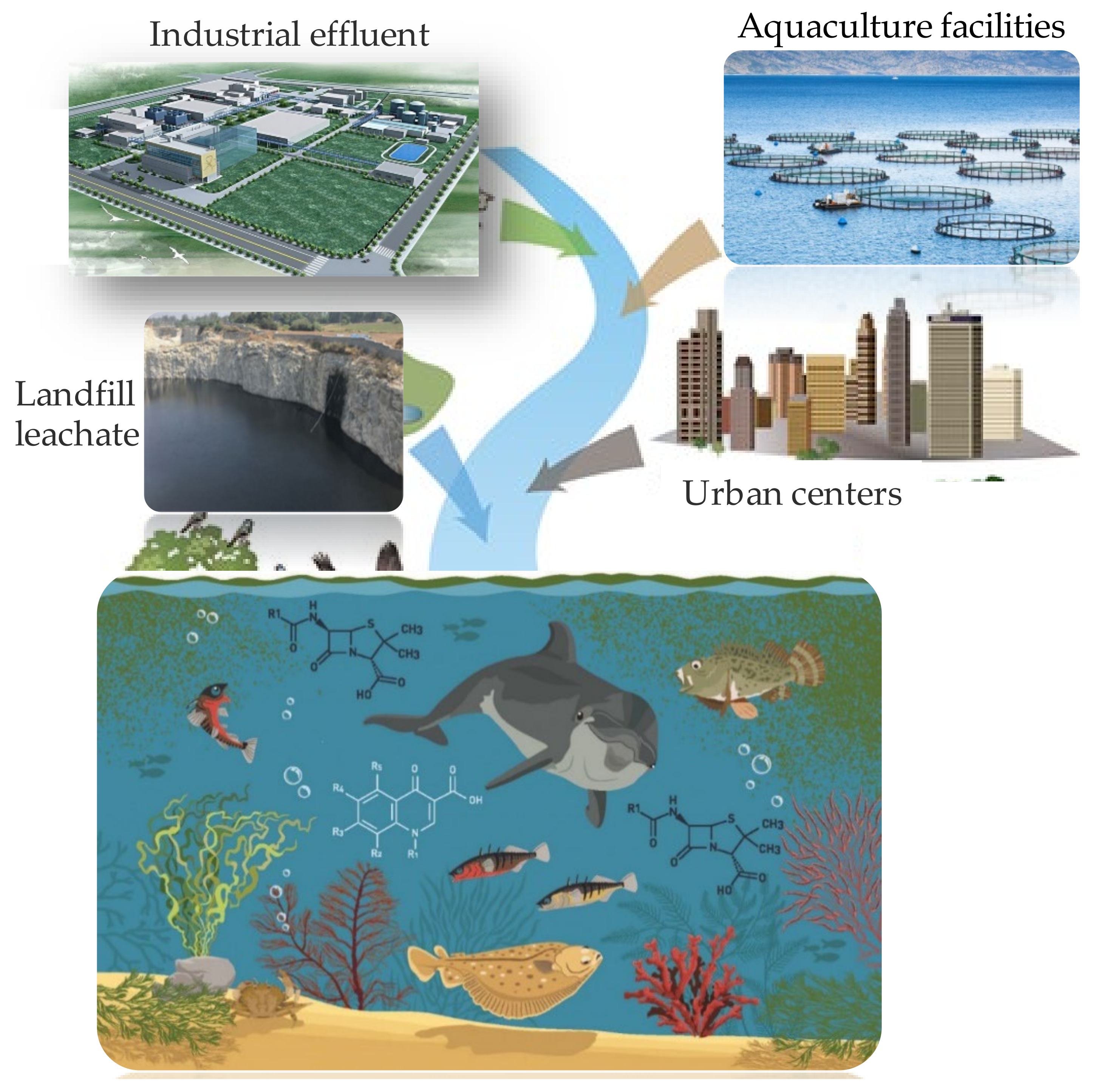 Separations 08 00095 g001 Separations 08 00095 g001