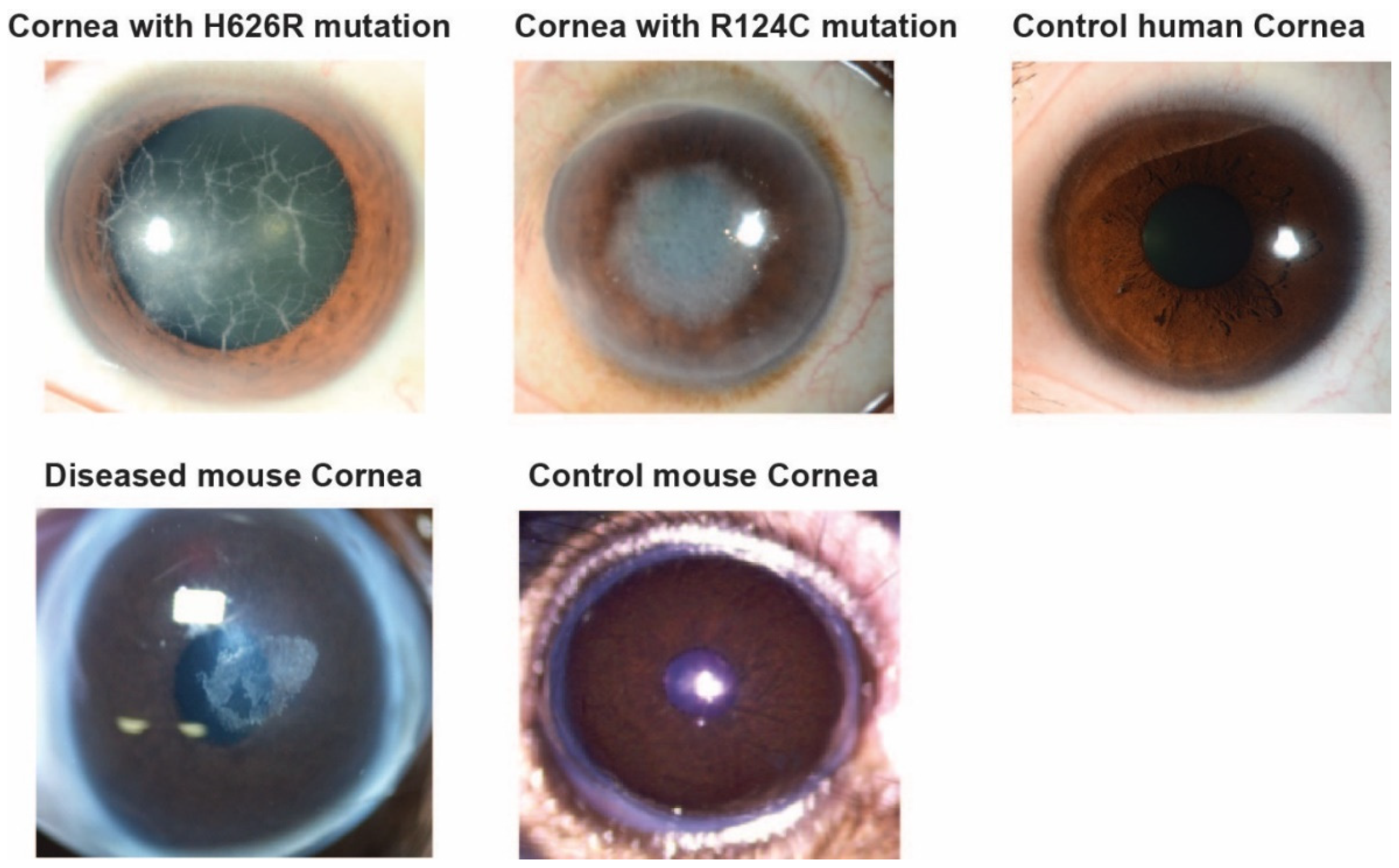 Separations 08 00097 g001 Separations 08 00097 g001