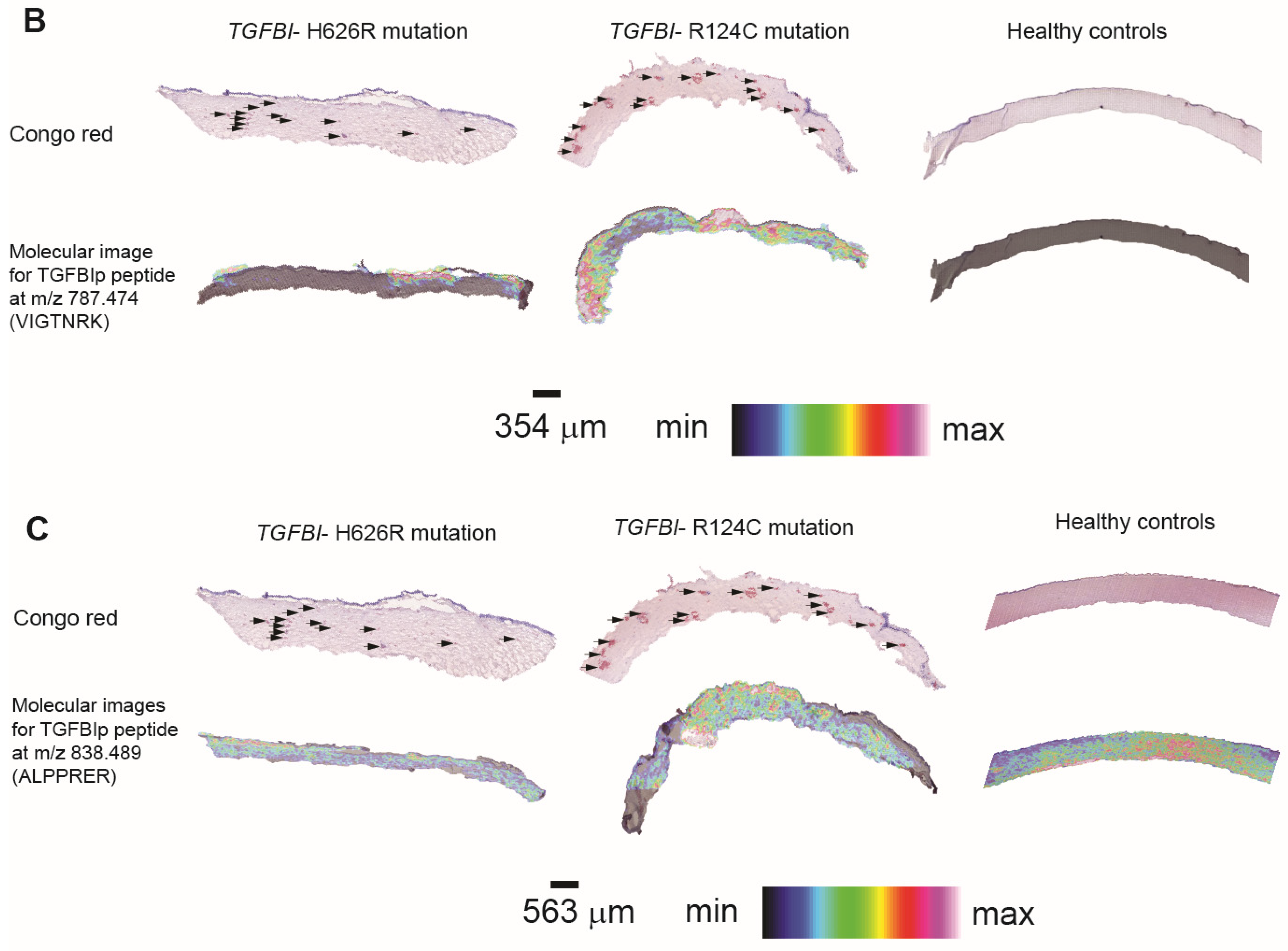 Separations 08 00097 g005b Separations 08 00097 g005b