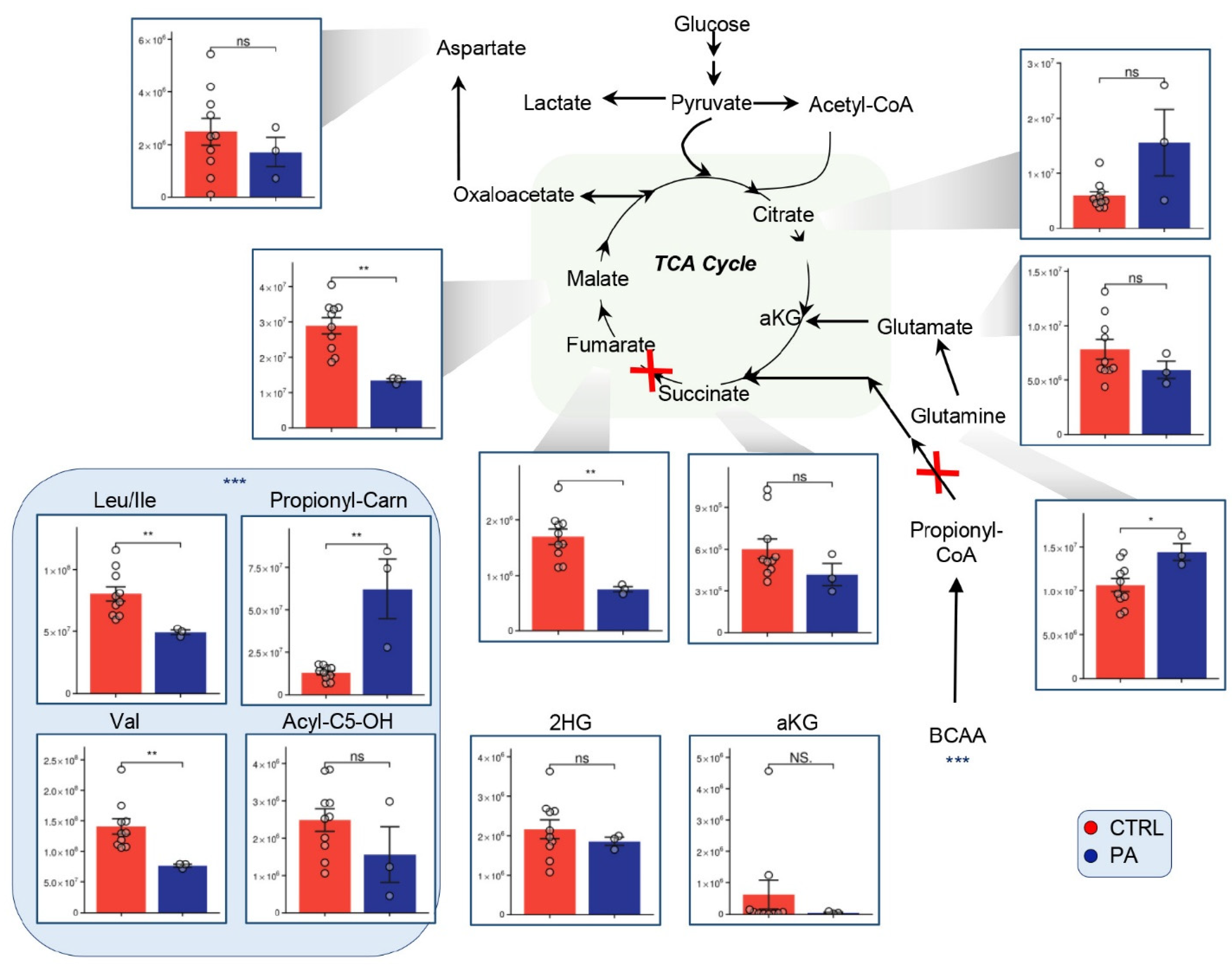 Separations 08 00142 g003