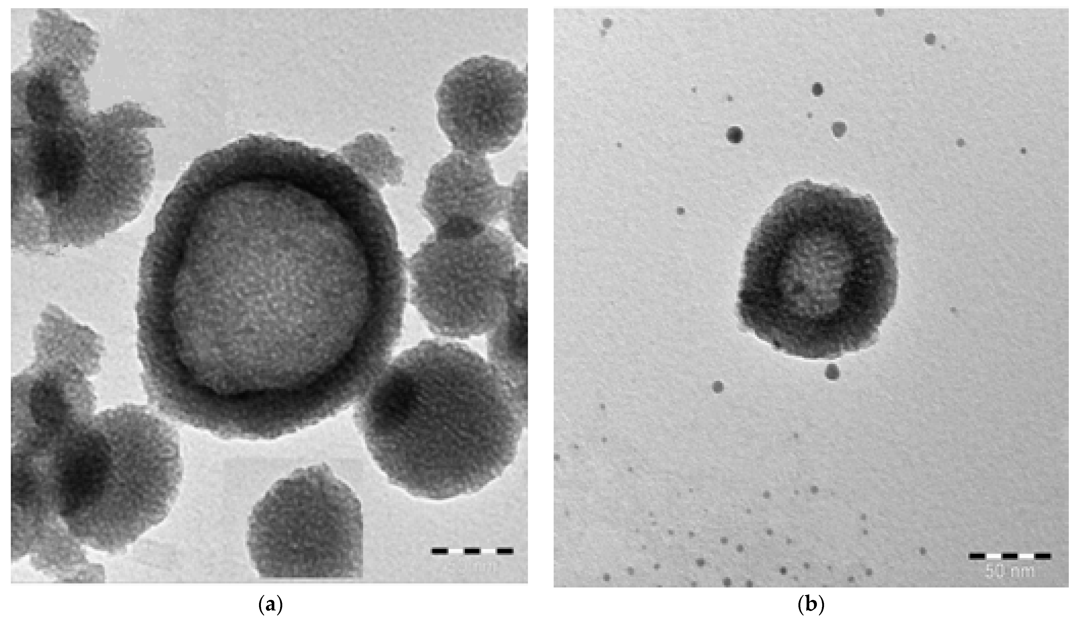 Separations 08 00224 g003