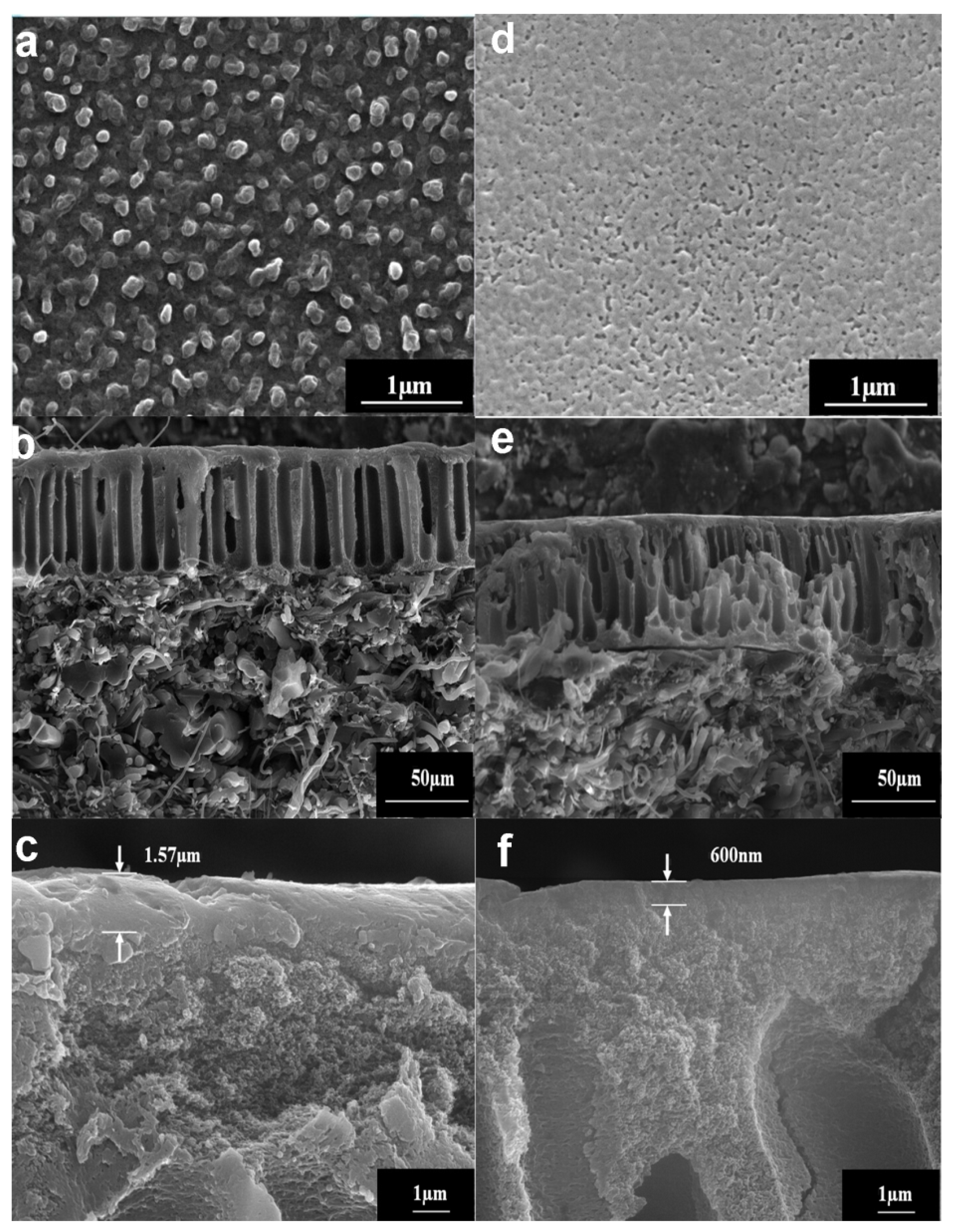 Separations 09 00028 g001