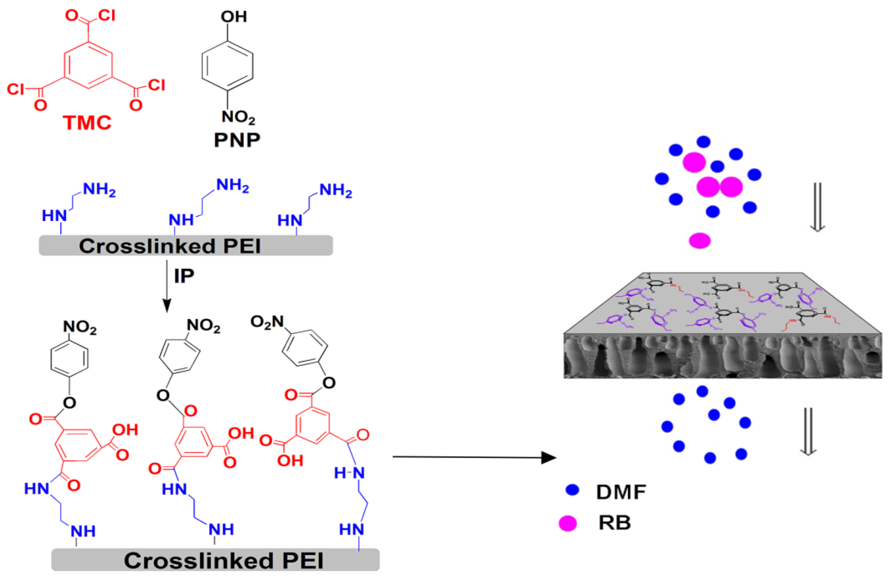 Separations 09 00028 sch001