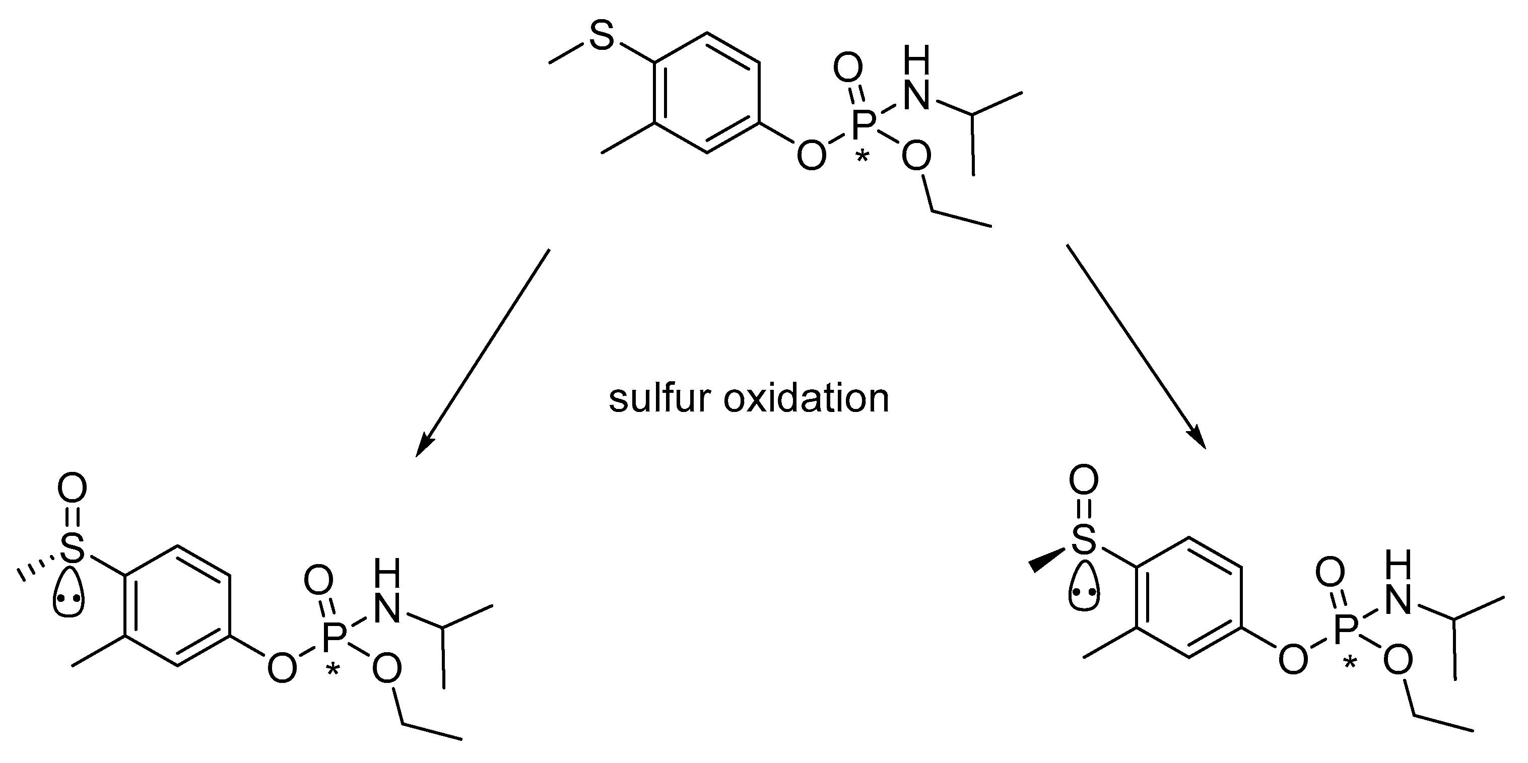 Separations 09 00029 g003