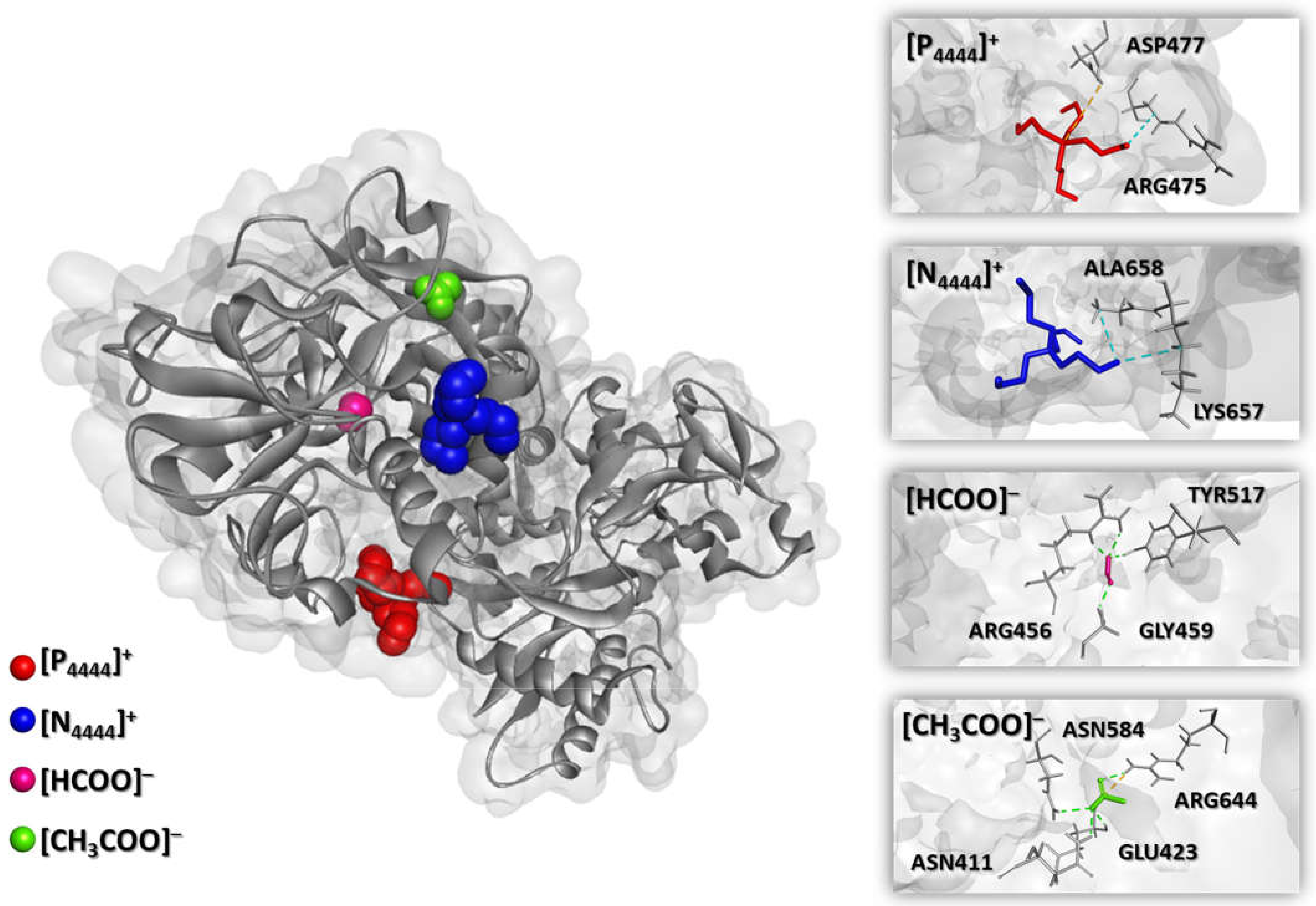 Separations 09 00046 g005 Separations 09 00046 g005