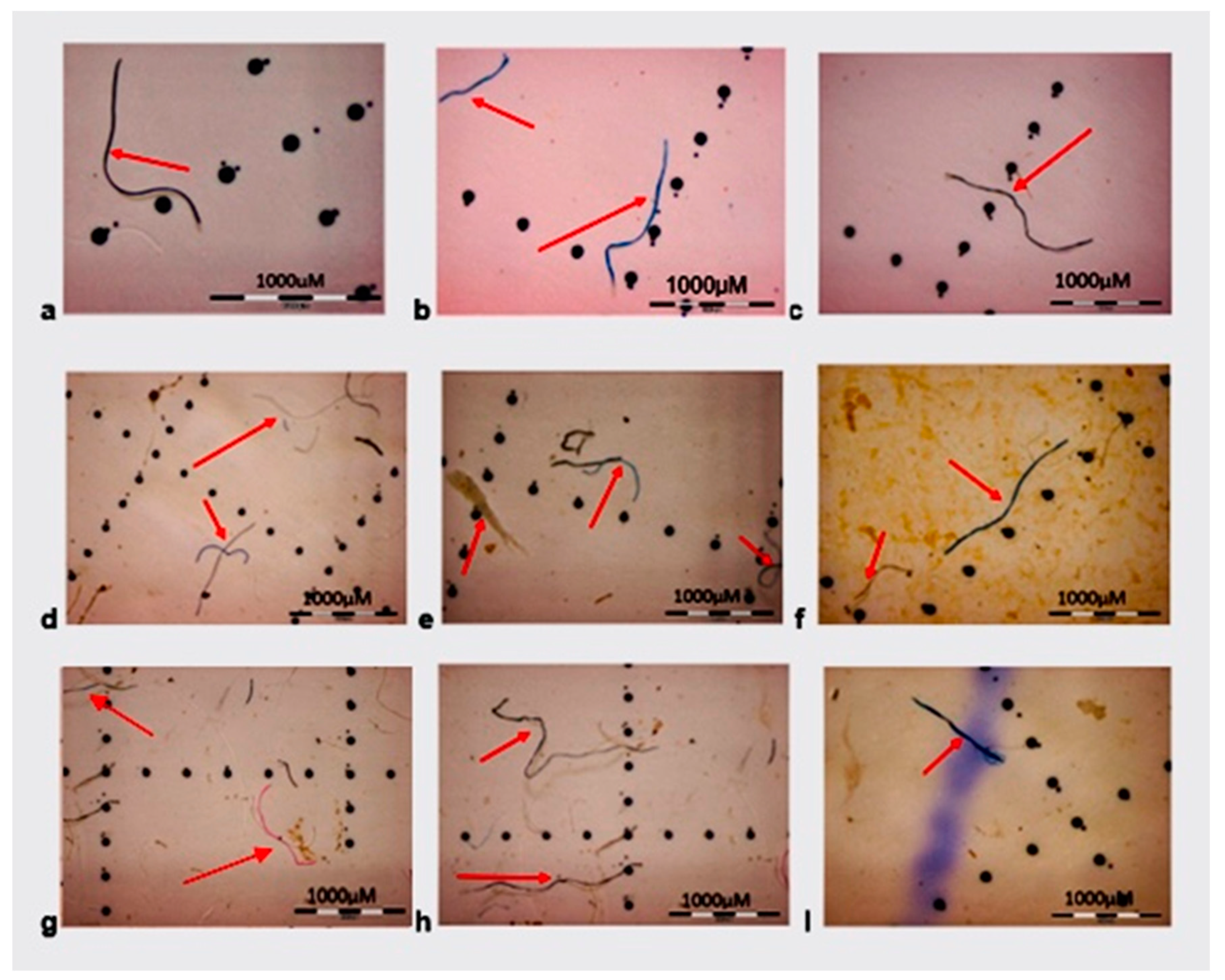 Separations 09 00166 g002