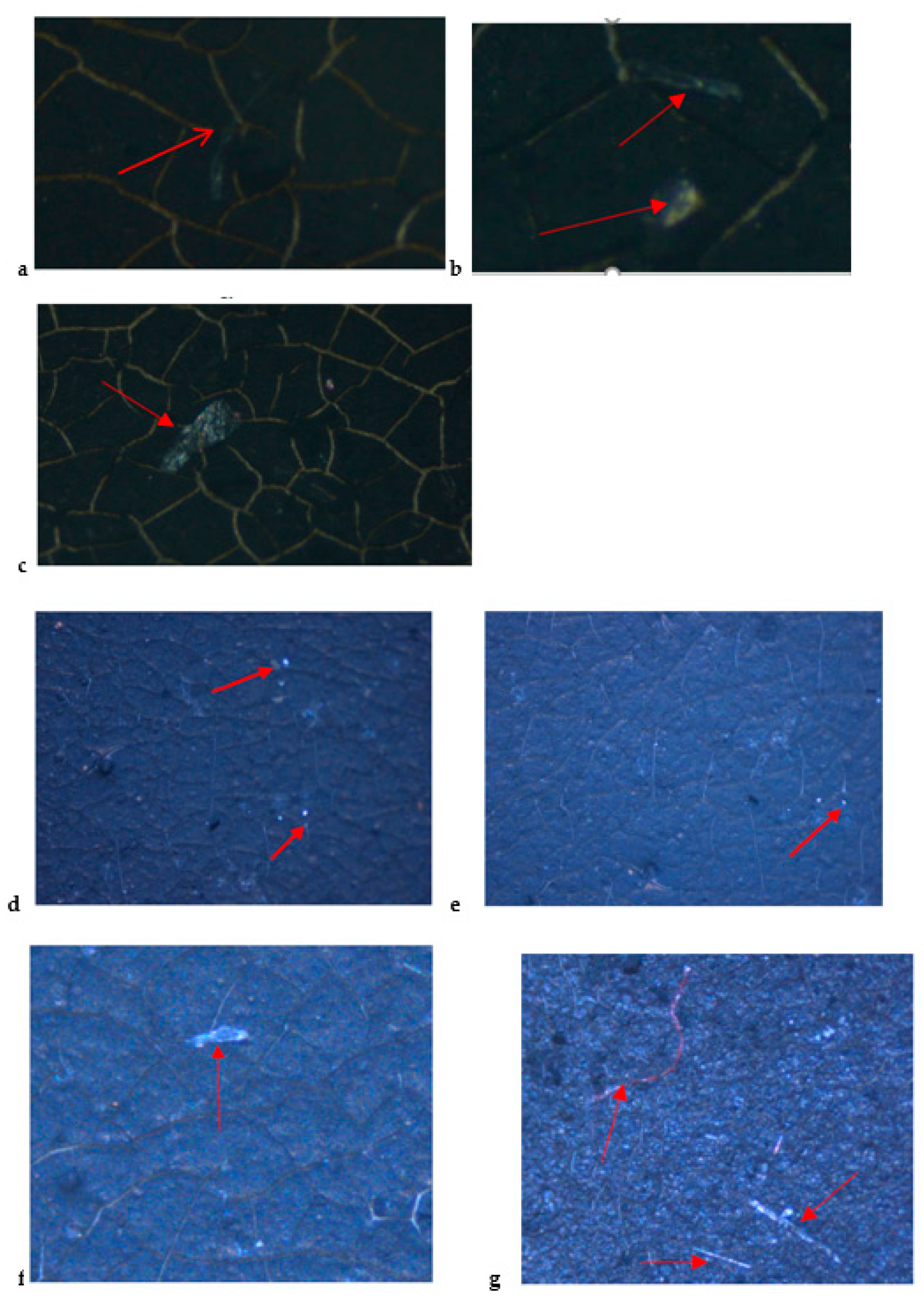 Separations 09 00166 g003a