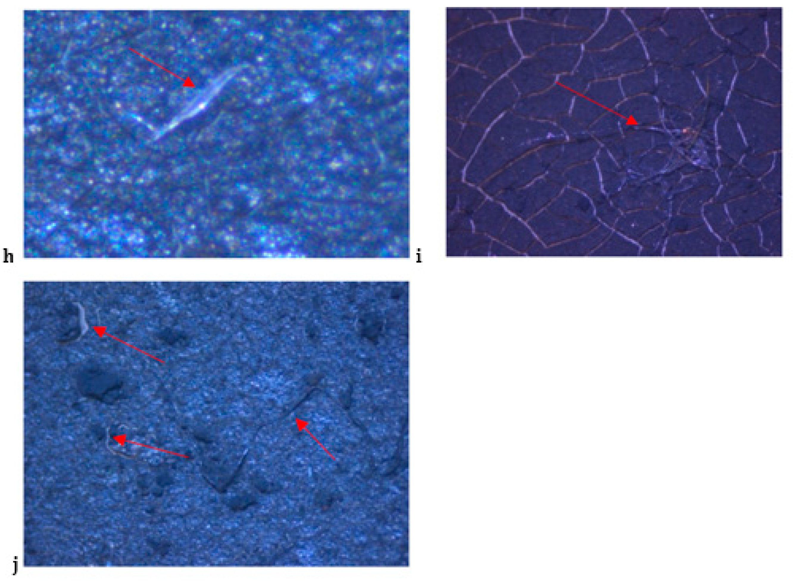 Separations 09 00166 g003b