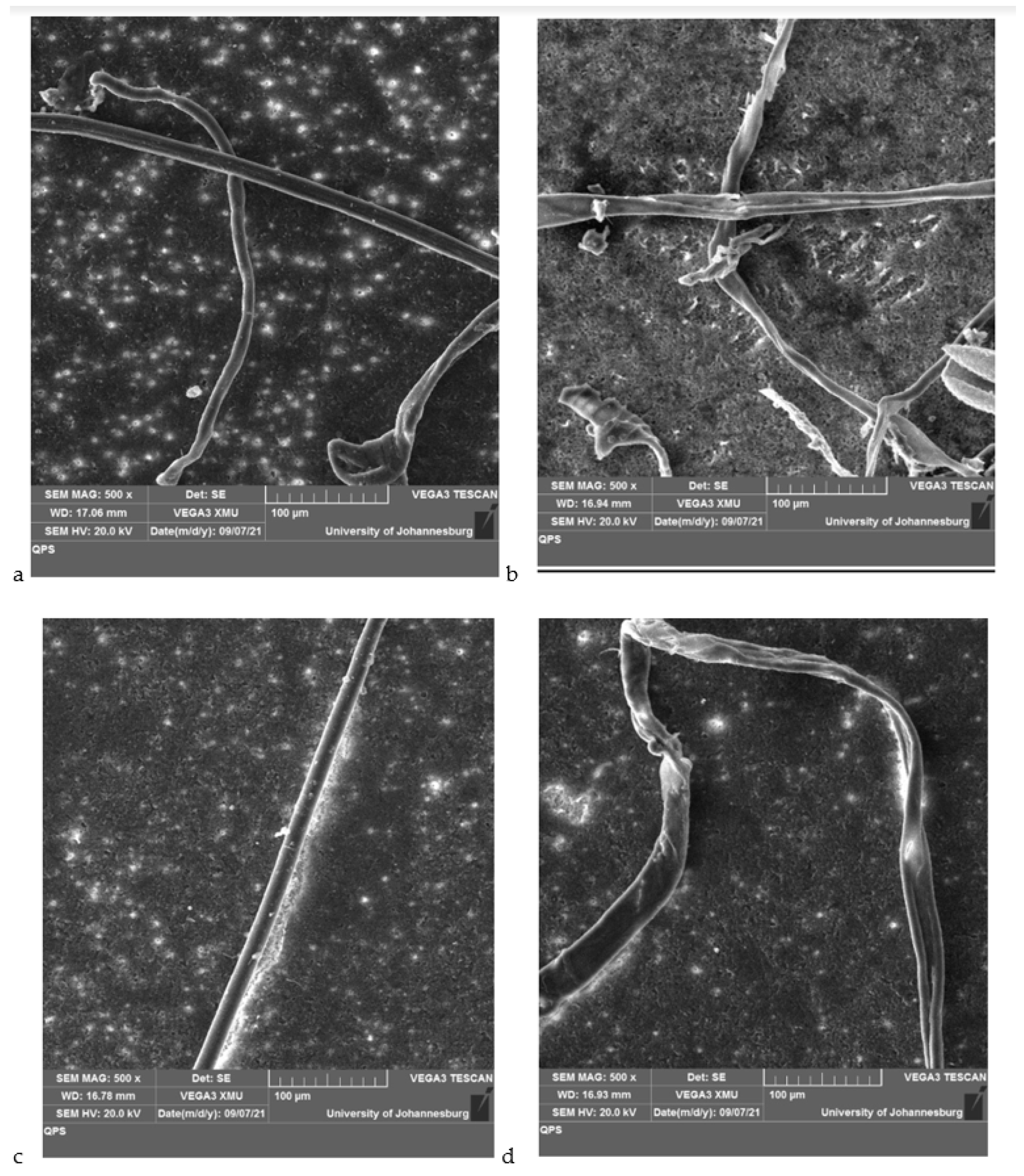 Separations 09 00166 g005