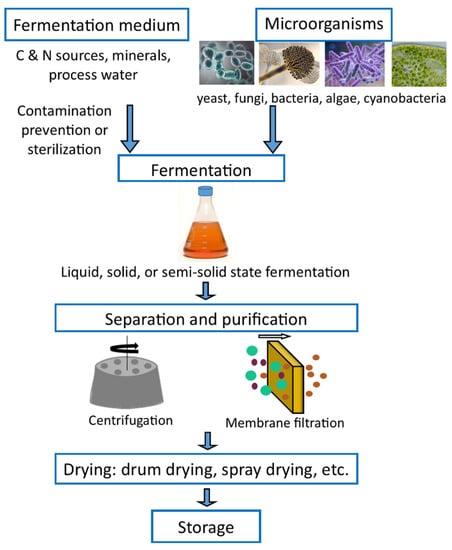 Life-cycle assessment of yeast-based single-cell protein