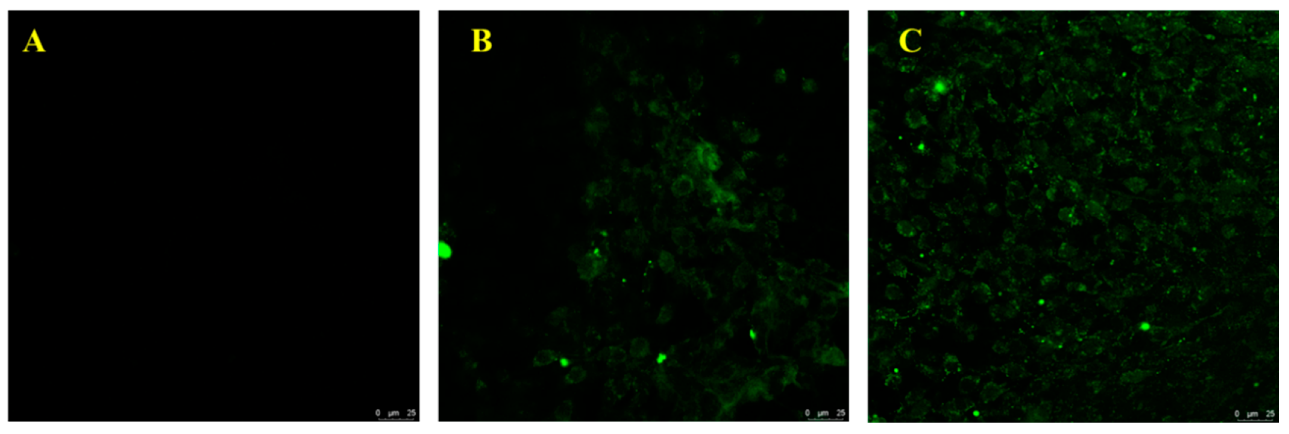 Separations 09 00236 g007