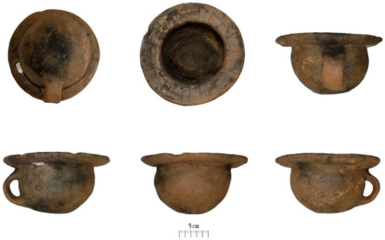 Separations | Free Full-Text | Unveiling the Use of Wide Horizontal Rim  Vessels (Bronze Age Northwest Iberian Peninsula)