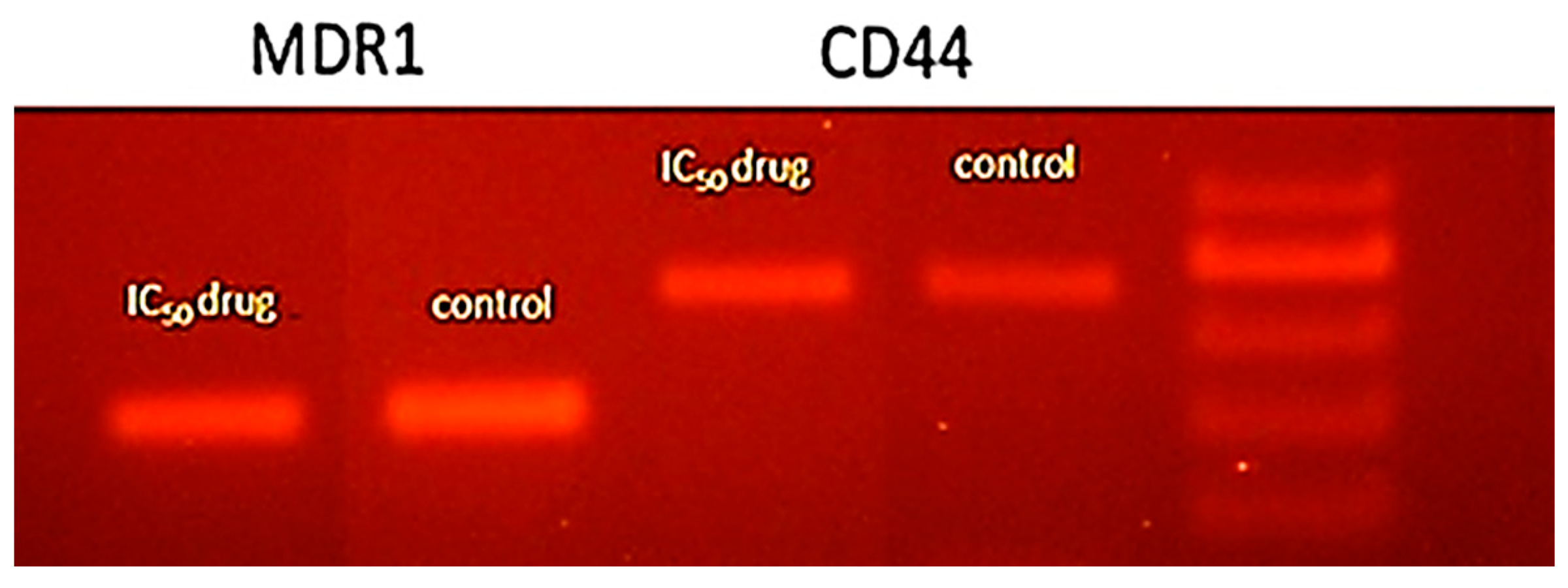 Separations 10 00053 g008