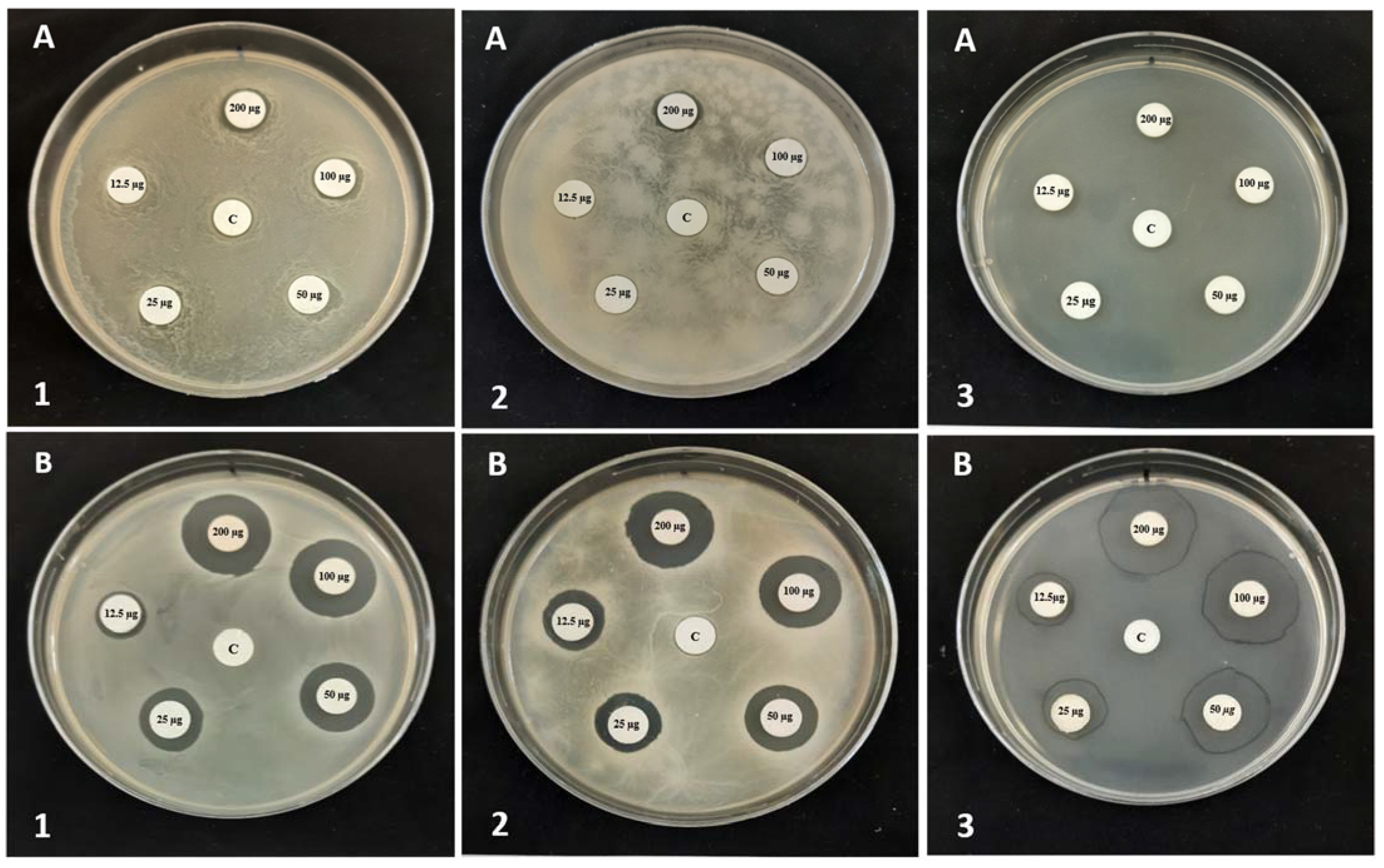 Separations 10 00097 g002