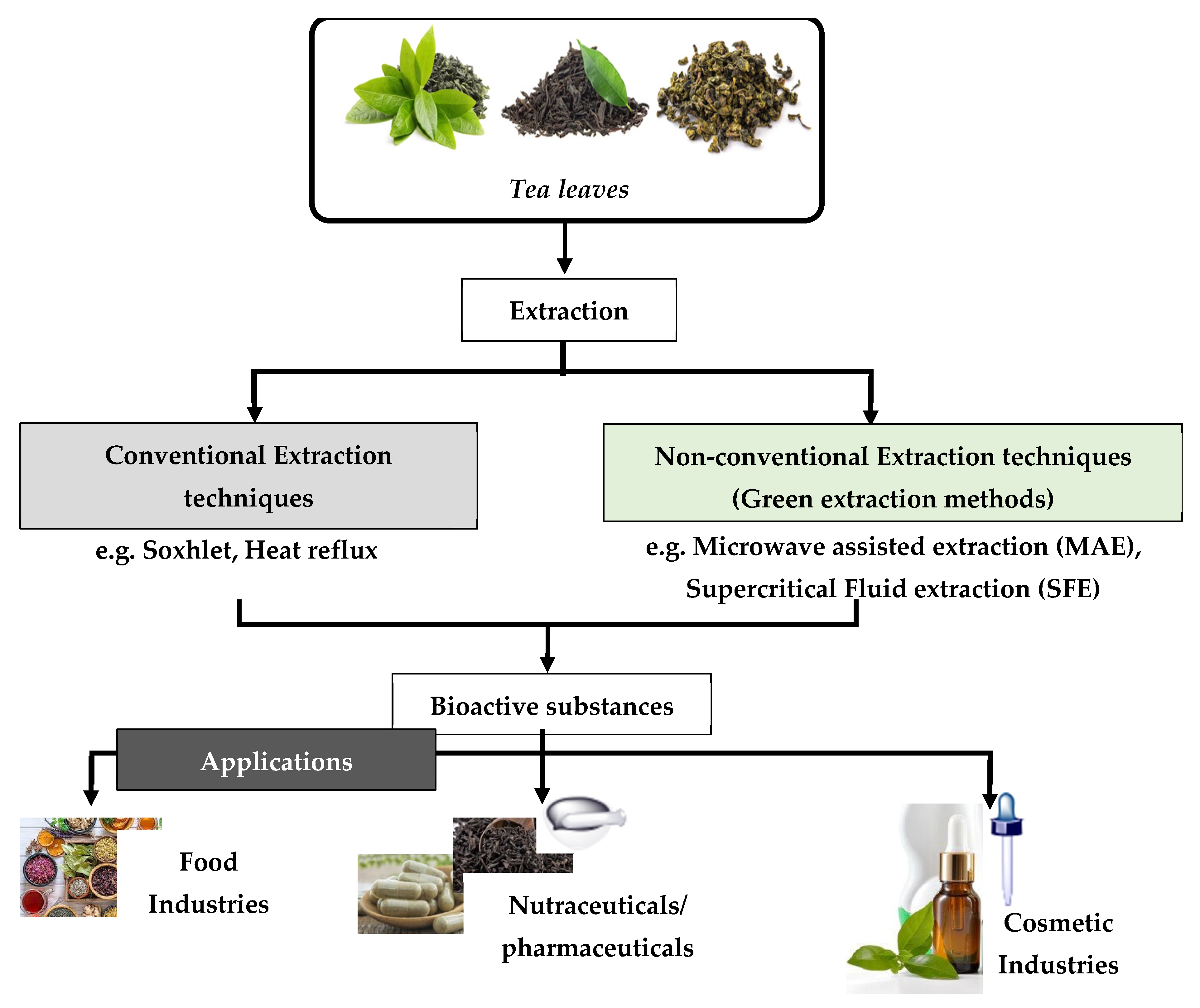 The coffee extraction process :: Green Plantation