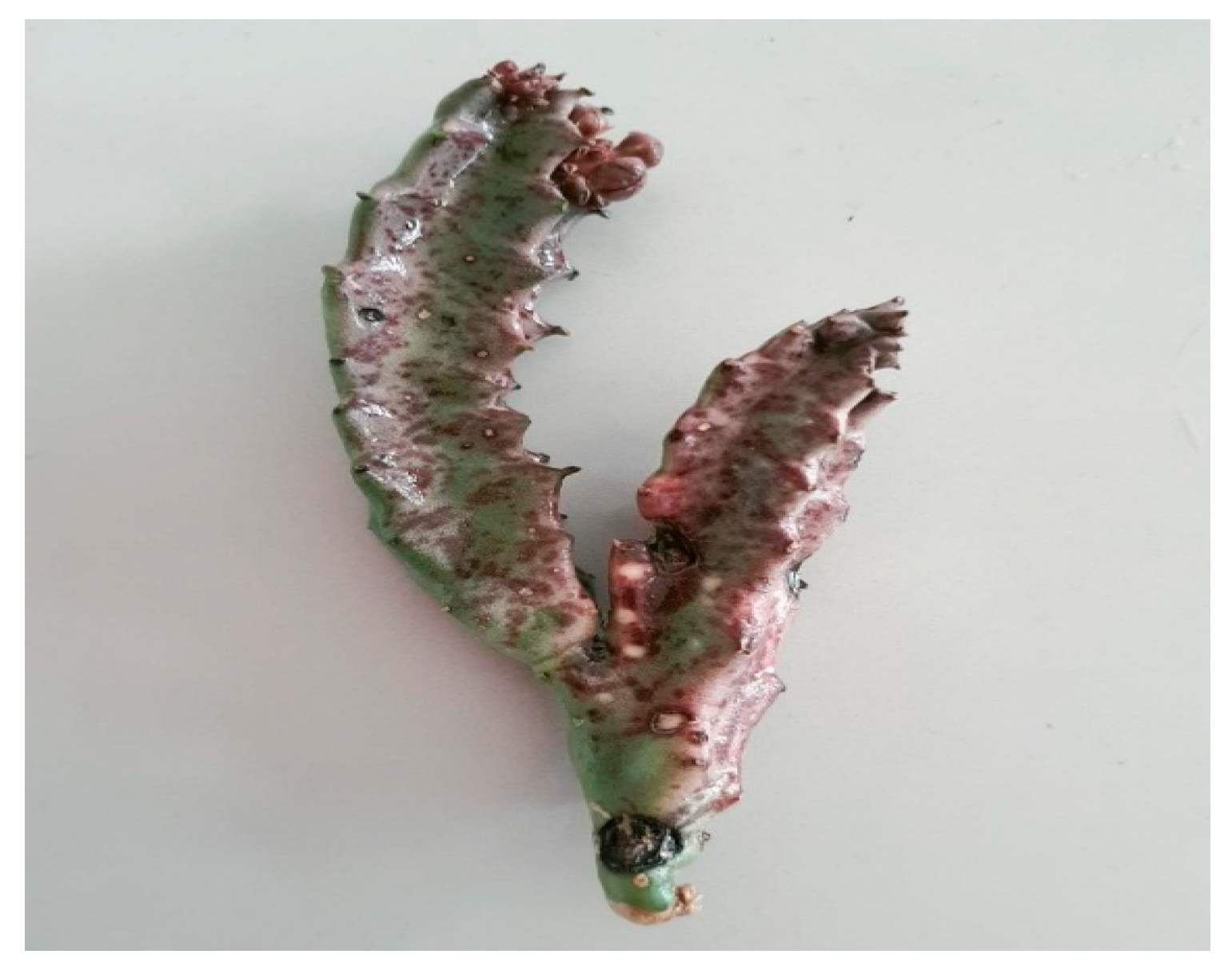 Separations 10 00172 g001