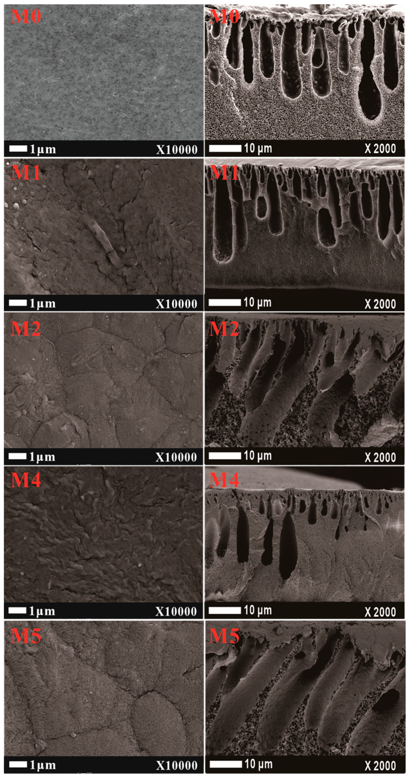 Separations 10 00249 g005