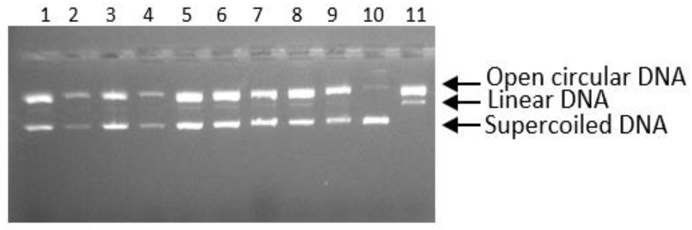 Separations 10 00373 g005