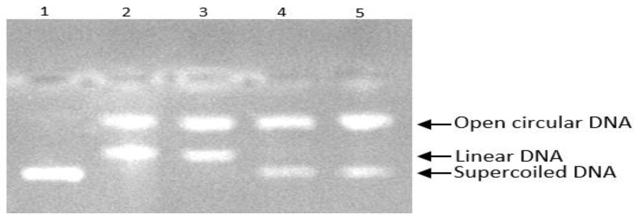 Separations 10 00373 g007