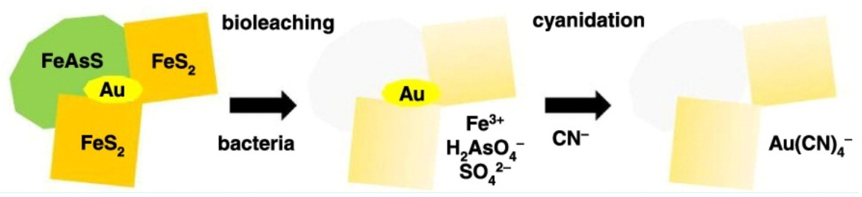 Separations 10 00384 g001