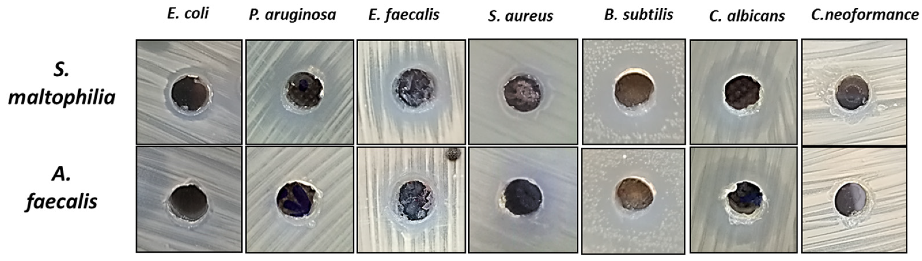 Separations 10 00395 g005 Separations 10 00395 g005