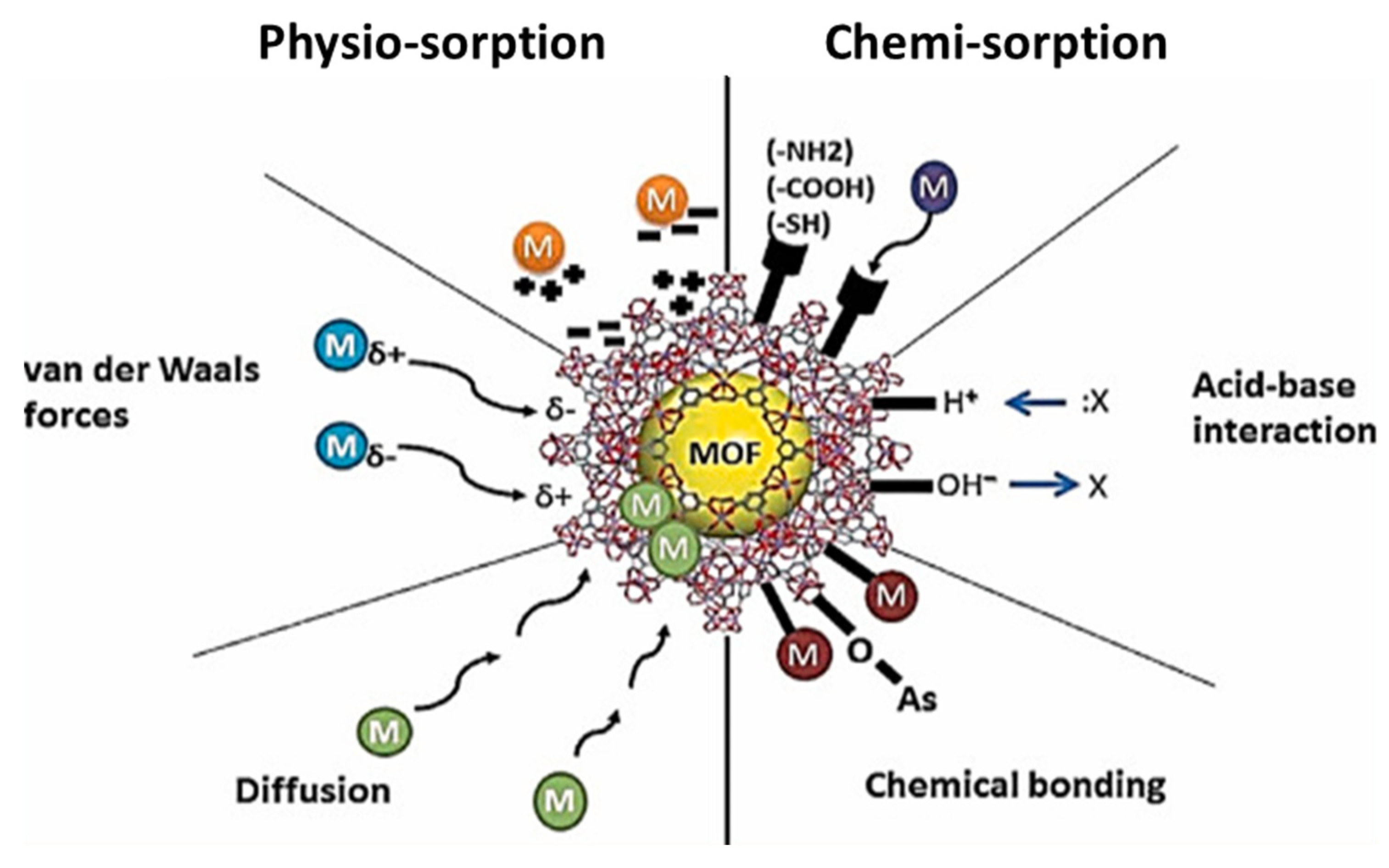 Separations 10 00467 g004