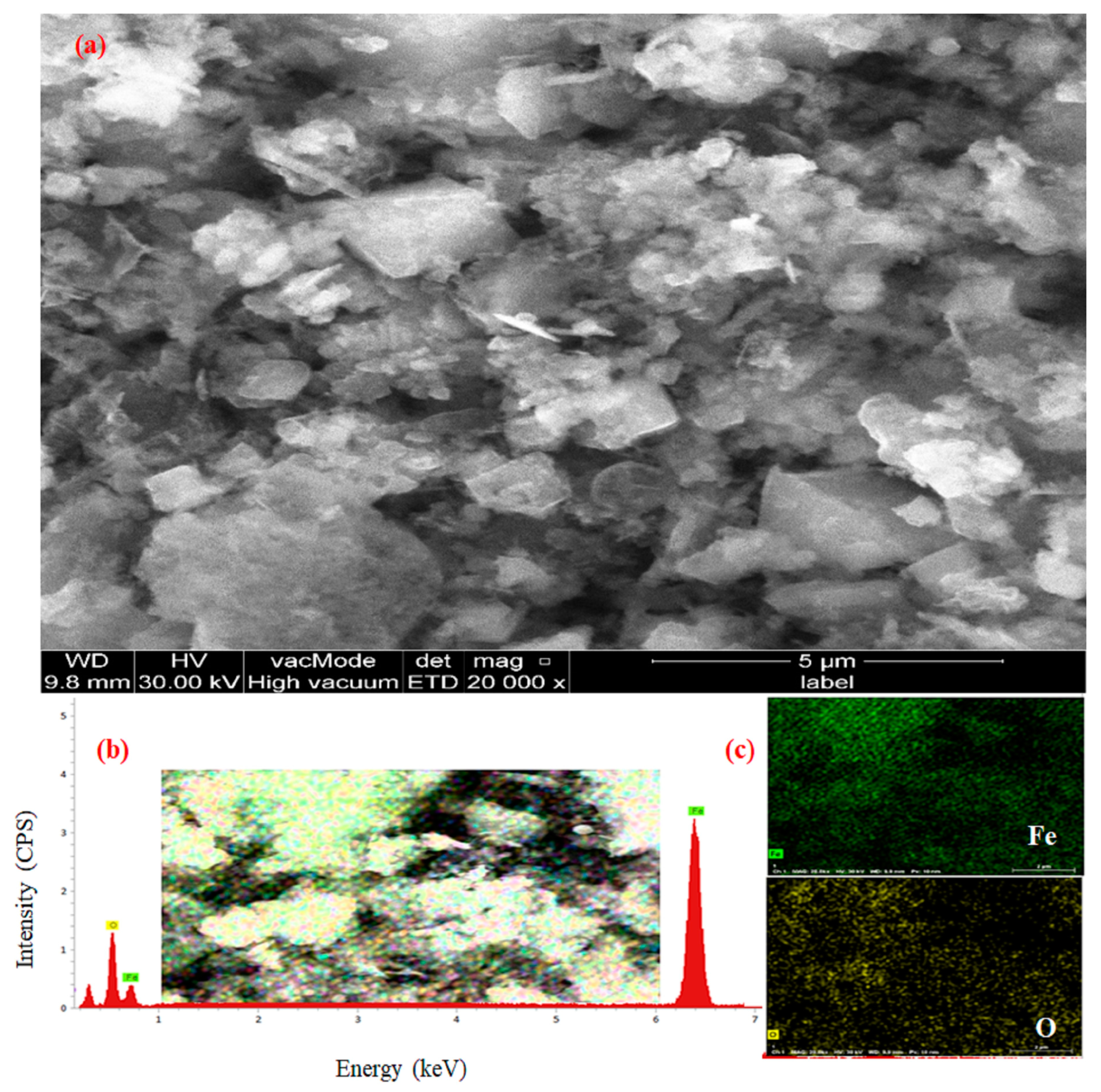 Separations 10 00518 g003