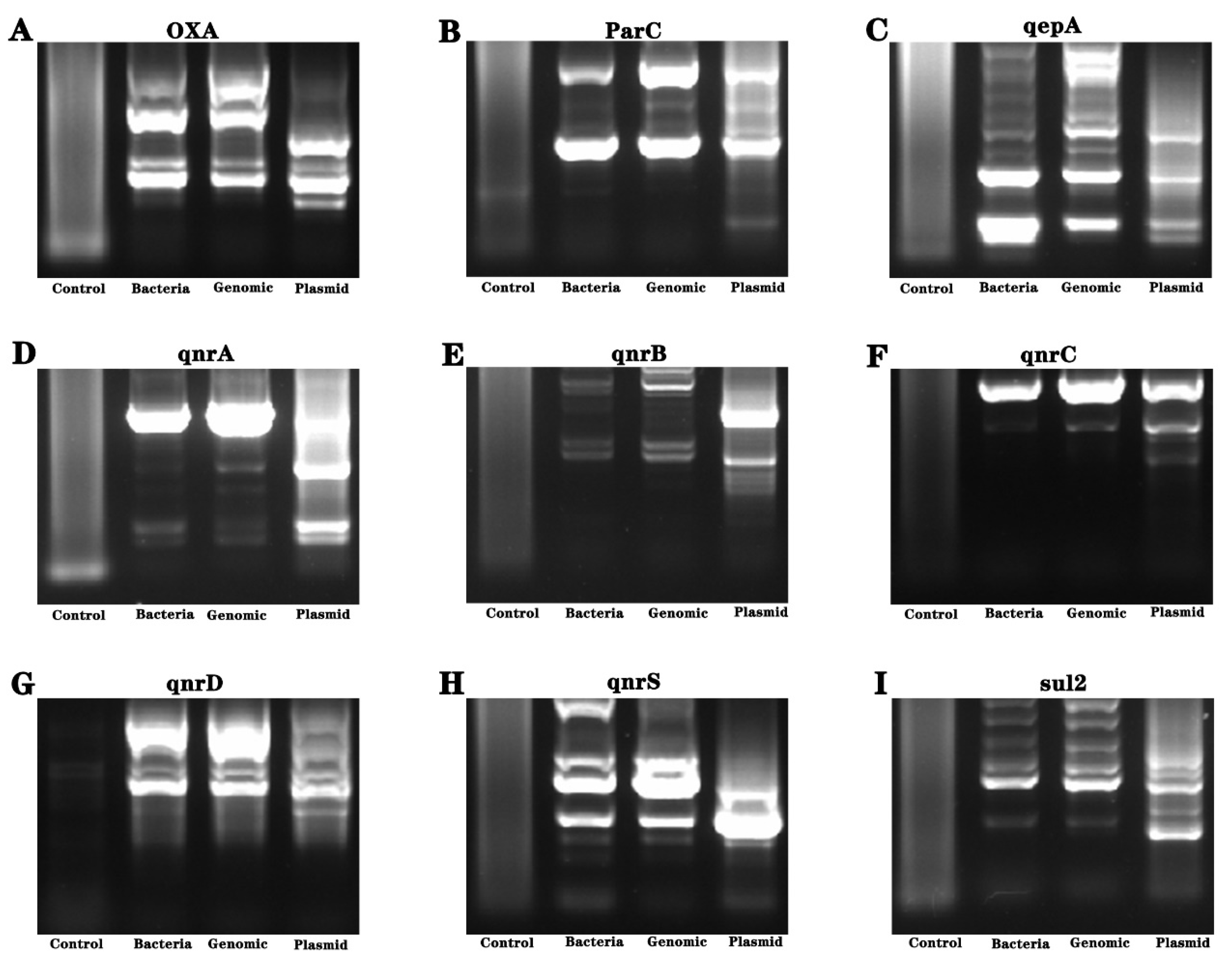 Separations 10 00549 g005