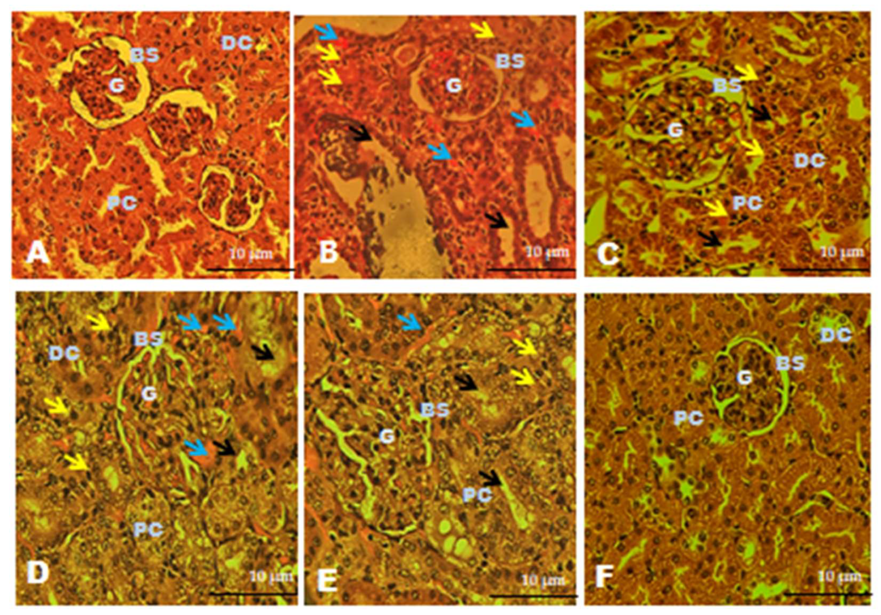 Separations 10 00552 g010 Separations 10 00552 g010