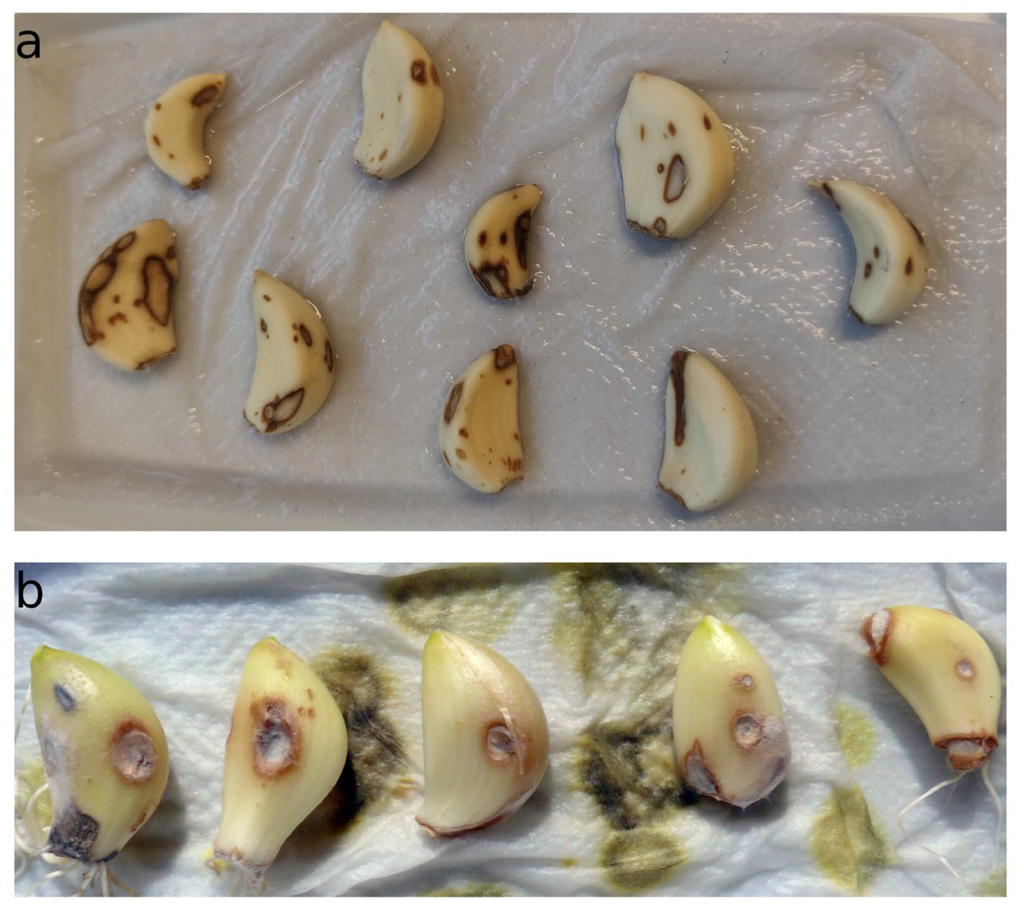 Separations 10 00556 g001