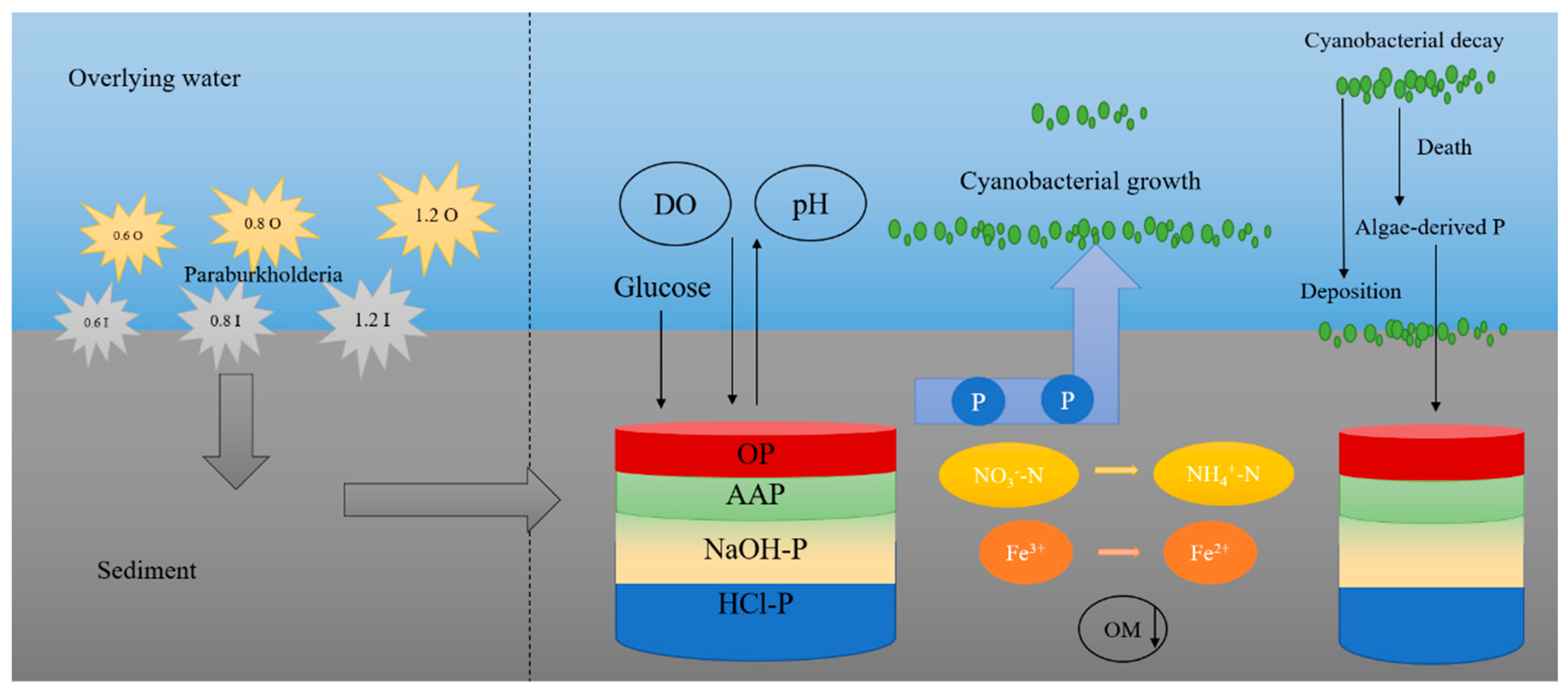 Separations 10 00595 g007 Separations 10 00595 g007