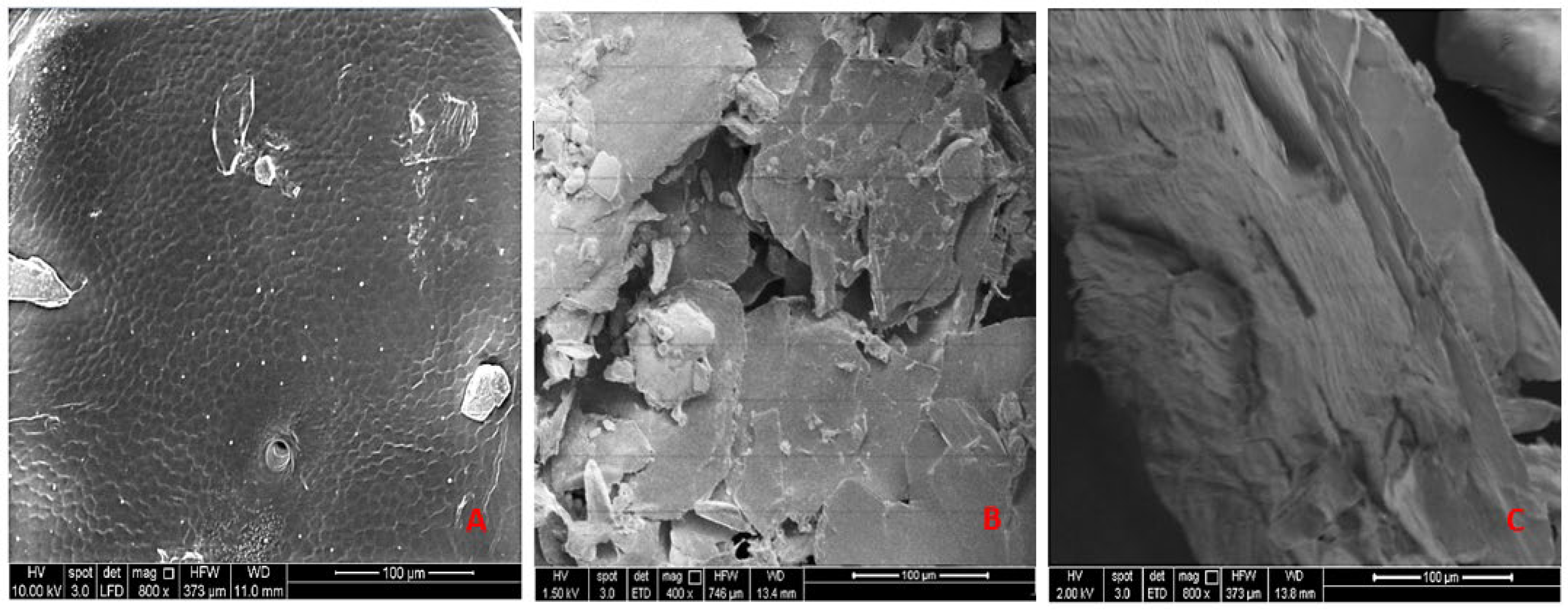 Separations 10 00599 g004