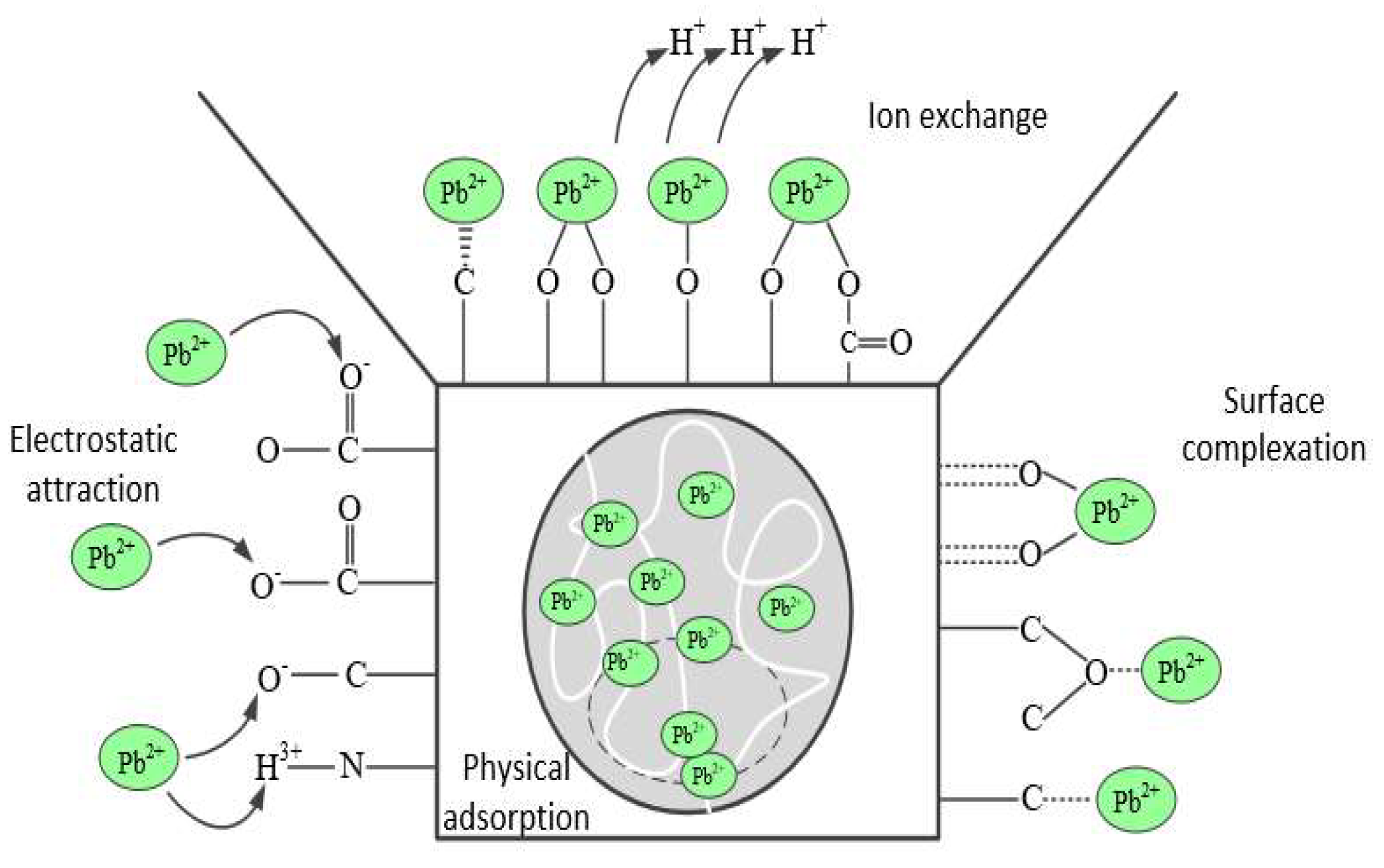 Separations 11 00017 g014